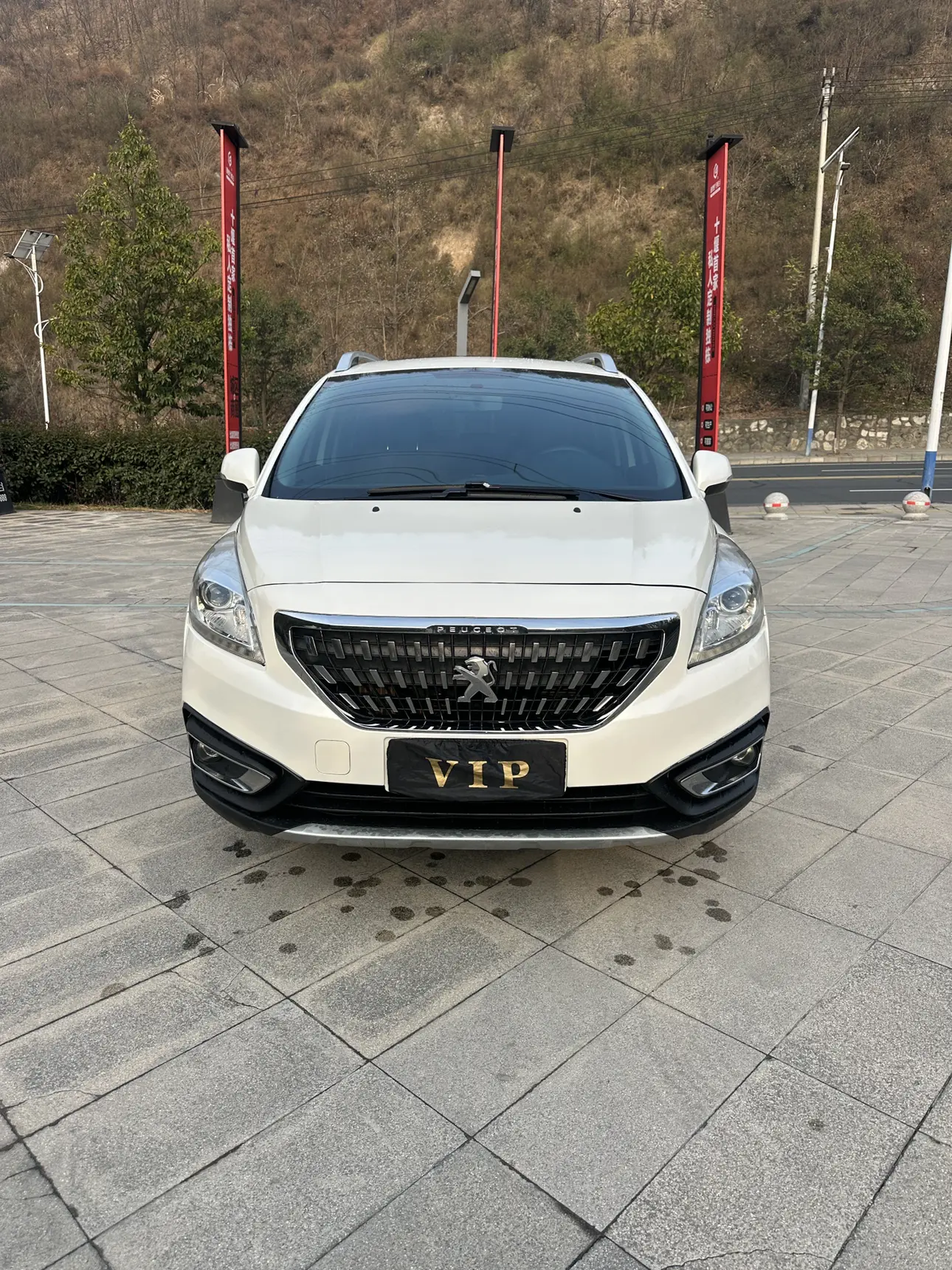 Peugeot 3008  из Китая