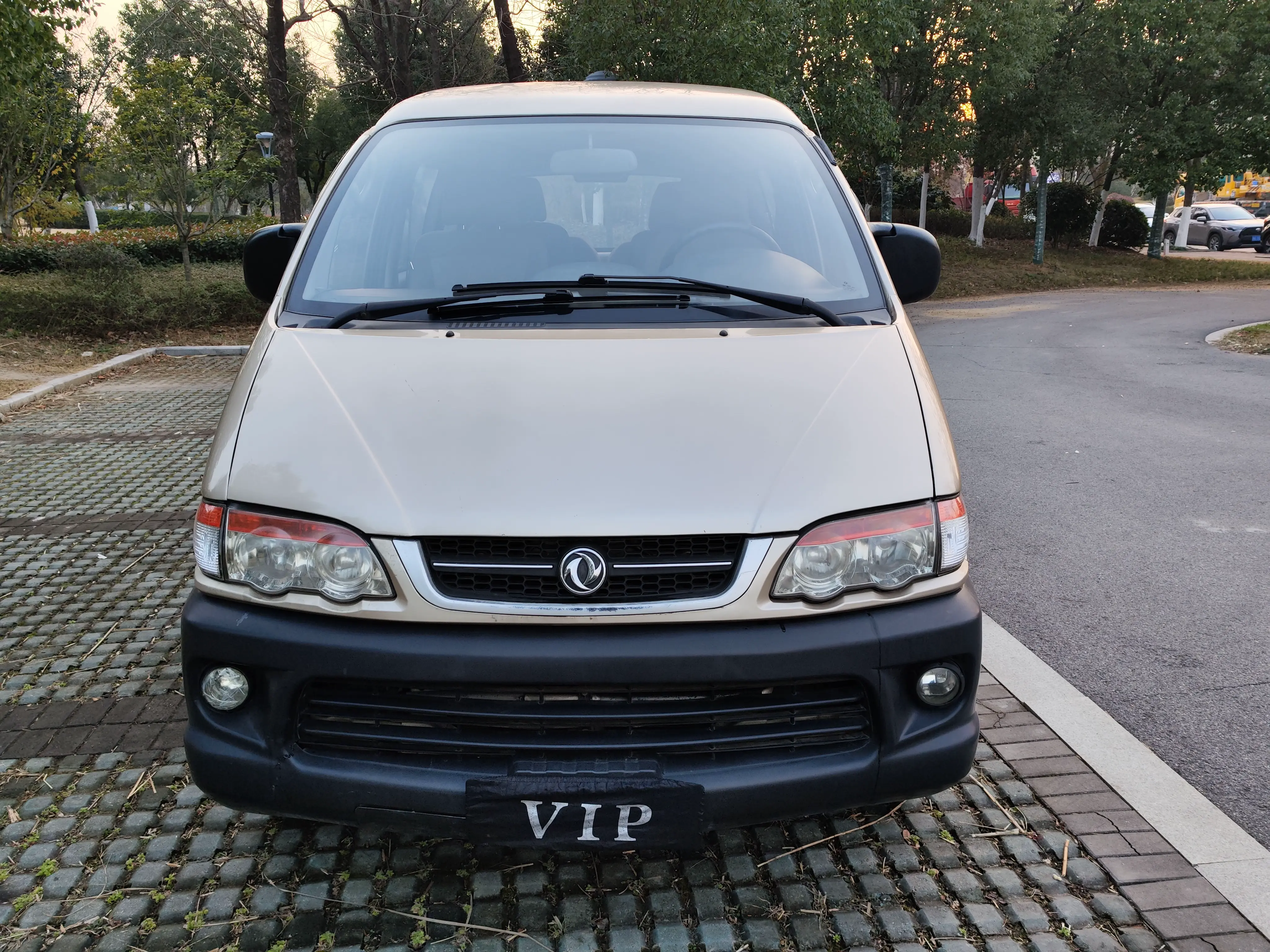 Forthing Lingzhi  из Китая