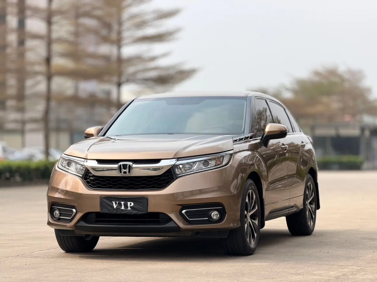 Honda Avancier (Crown Road)  из Китая