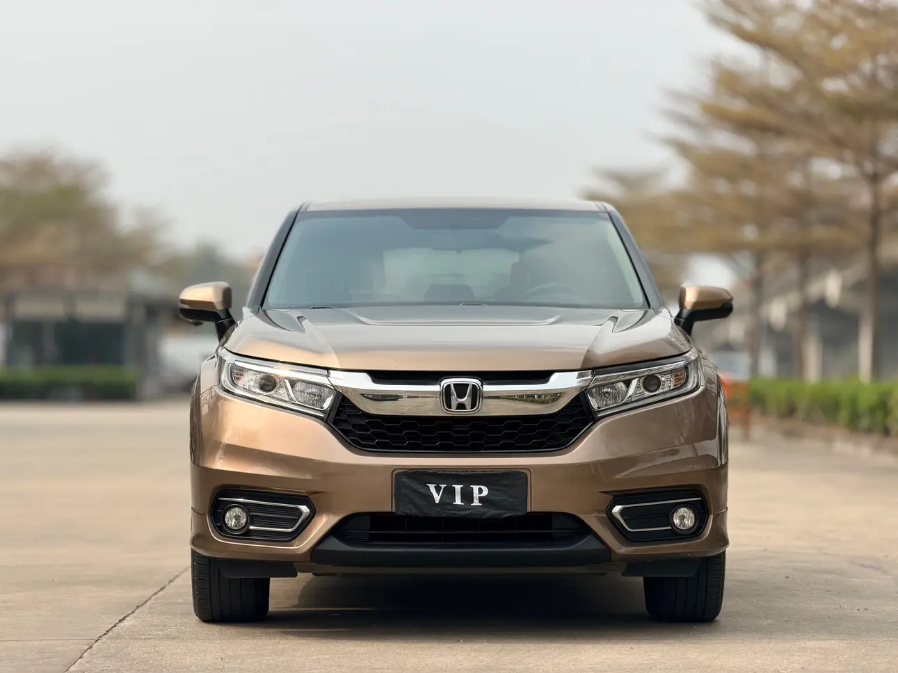 Honda Avancier (Crown Road)  из Китая