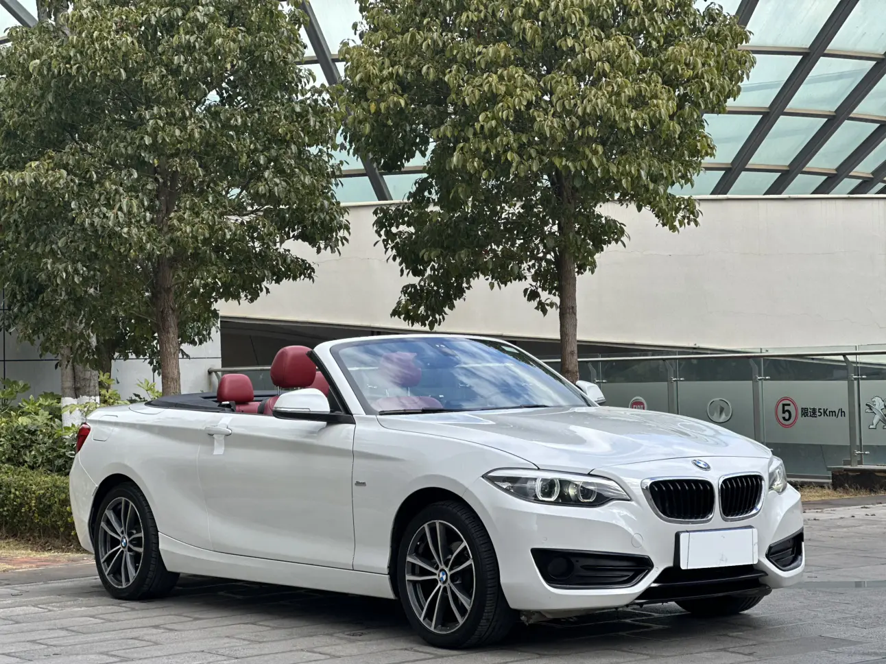 BMW 2 Series  из Китая
