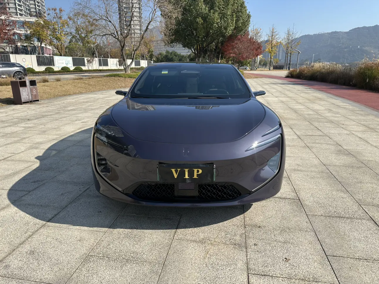 AVATR 12  из Китая