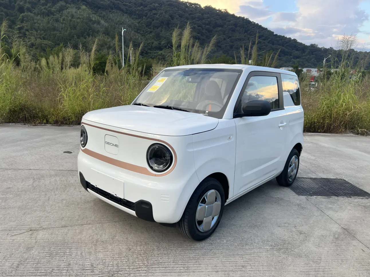 Geely Panda  из Китая