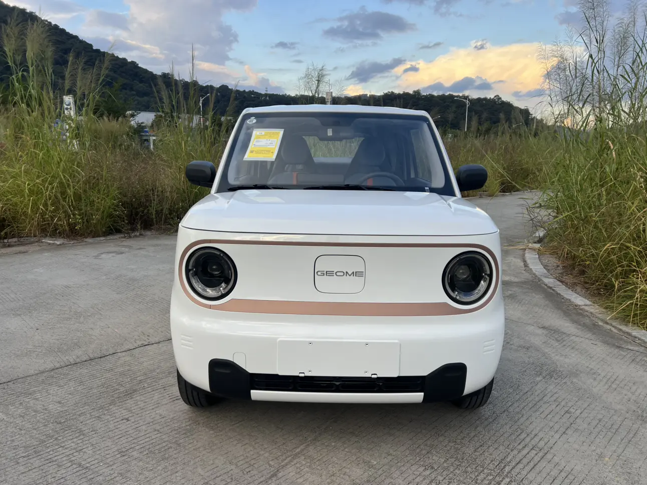 Geely Panda  из Китая