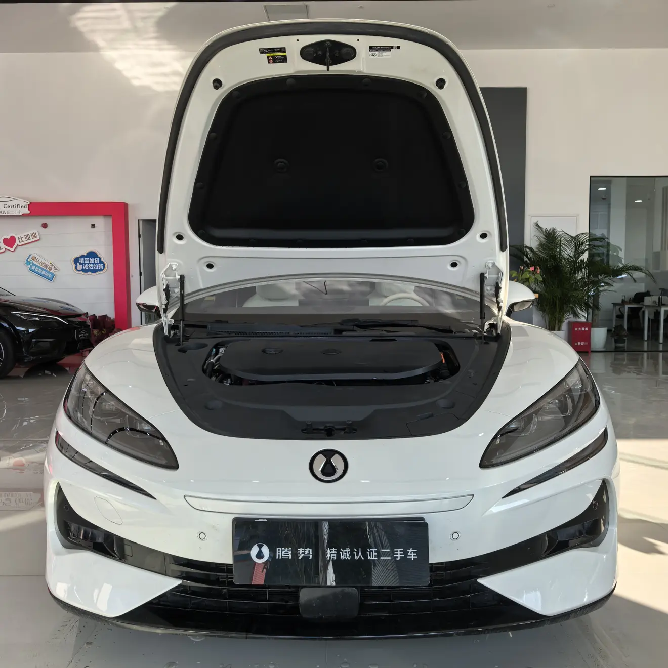 Denza Tengzhong Z9 DM  из Китая