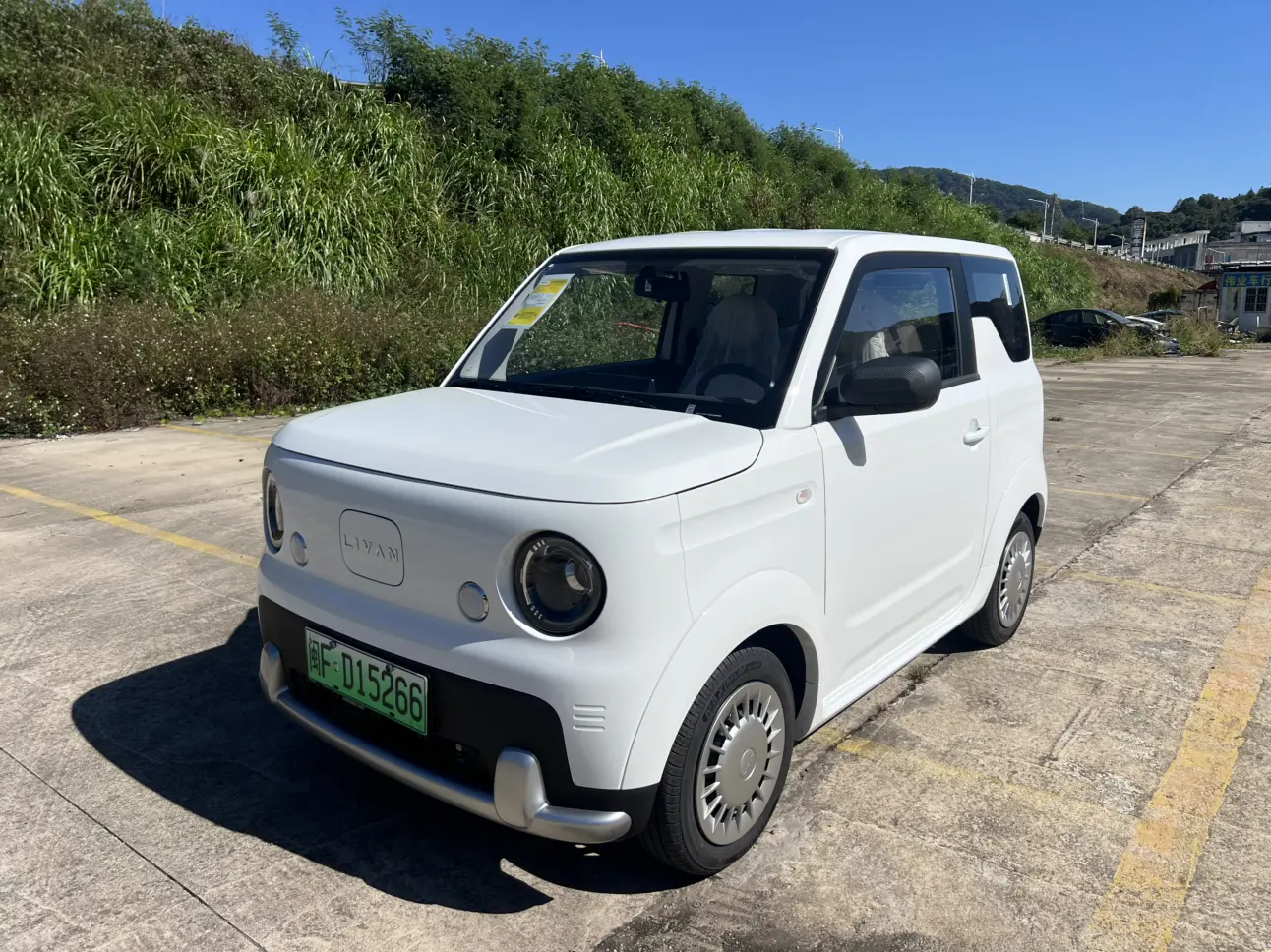 Ruilan Blue Balloon  из Китая