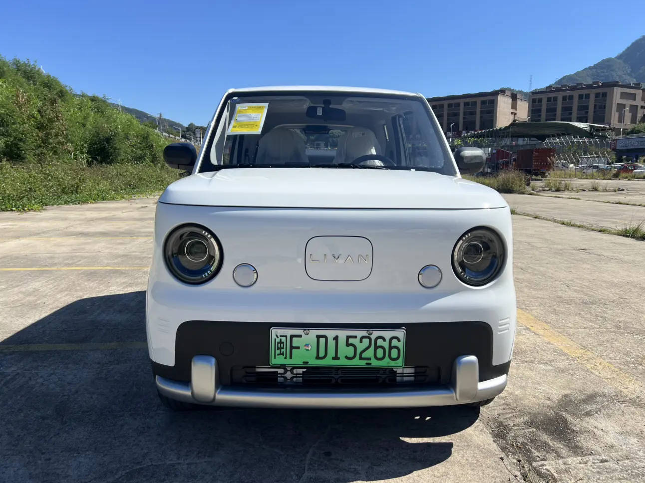 Ruilan Blue Balloon  из Китая