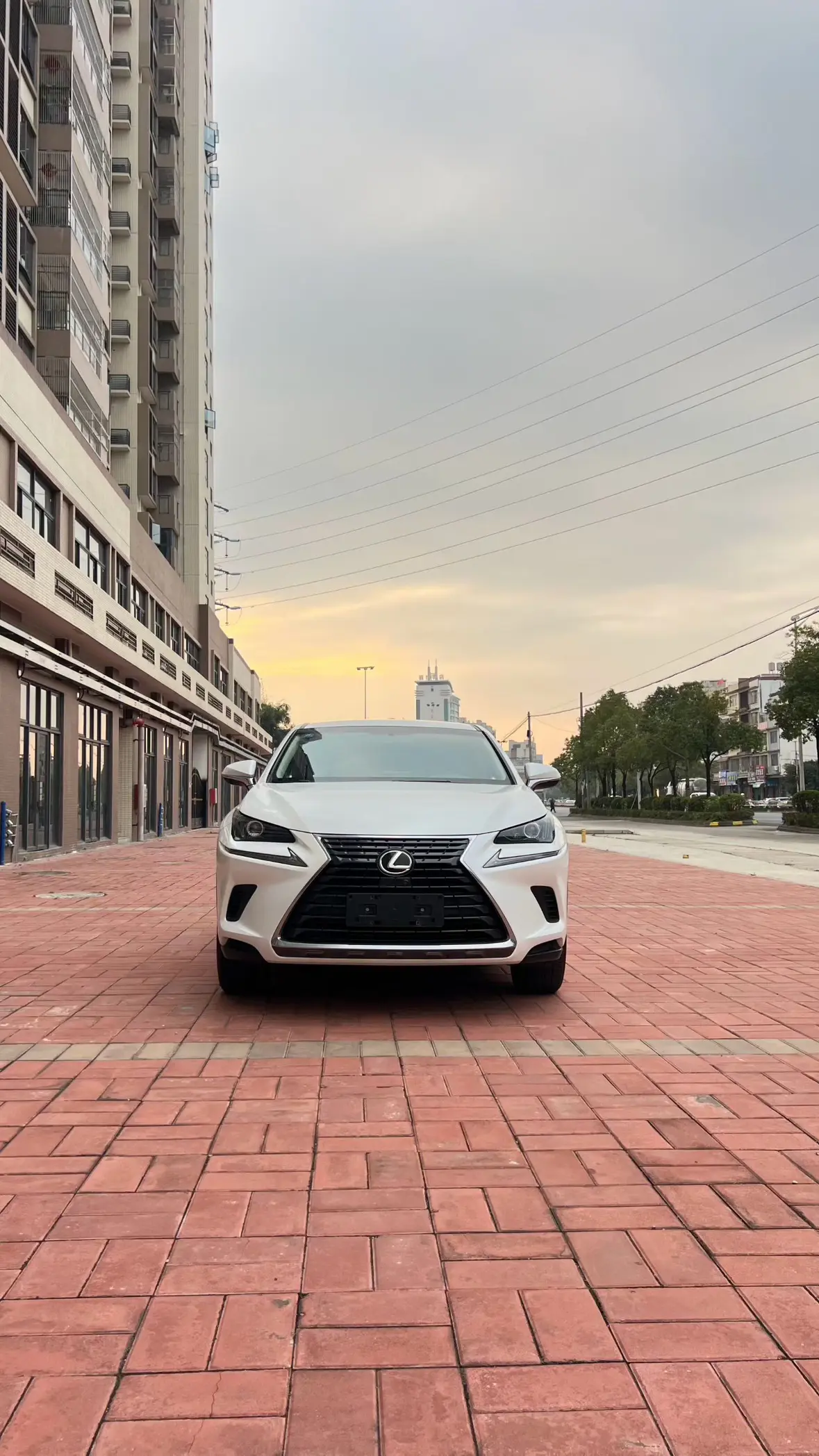 Lexus NX  из Китая