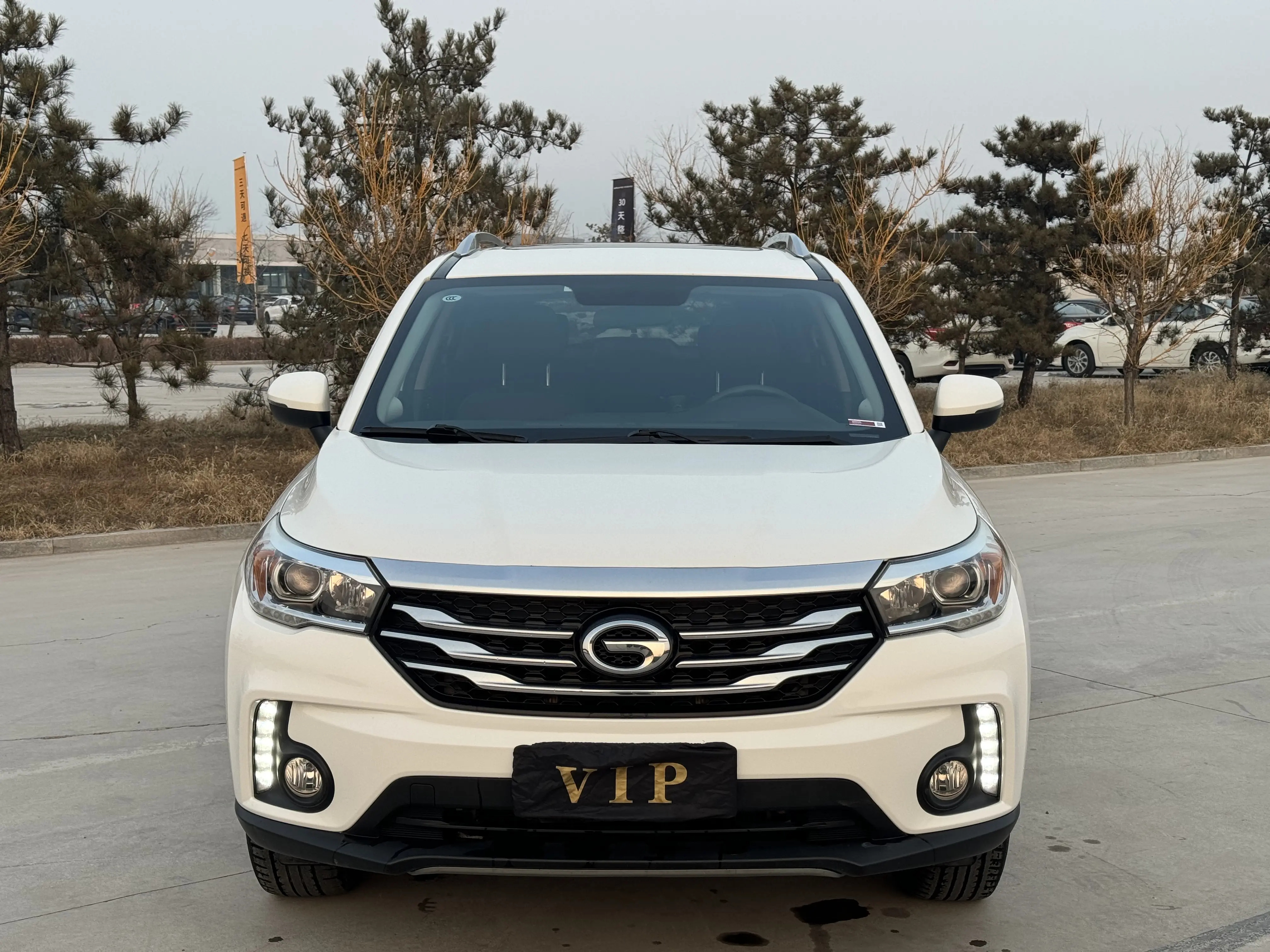 GAC Trumpchi GS4  из Китая