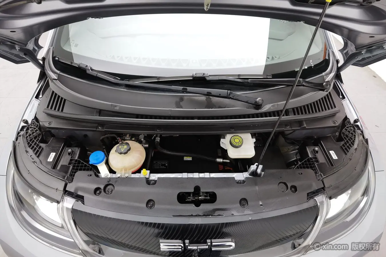 BYD Dolphin  из Китая