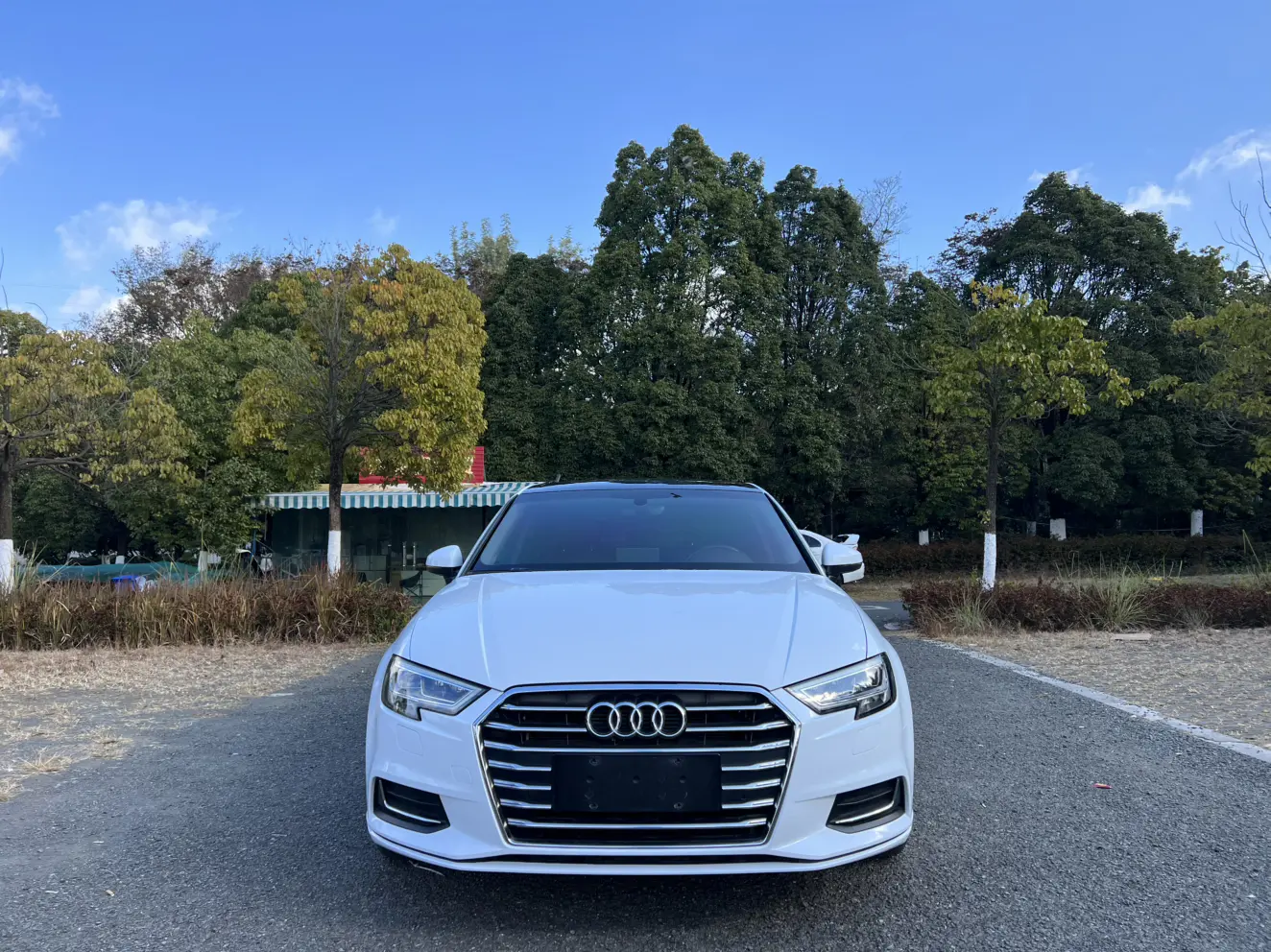 Audi A3  из Китая