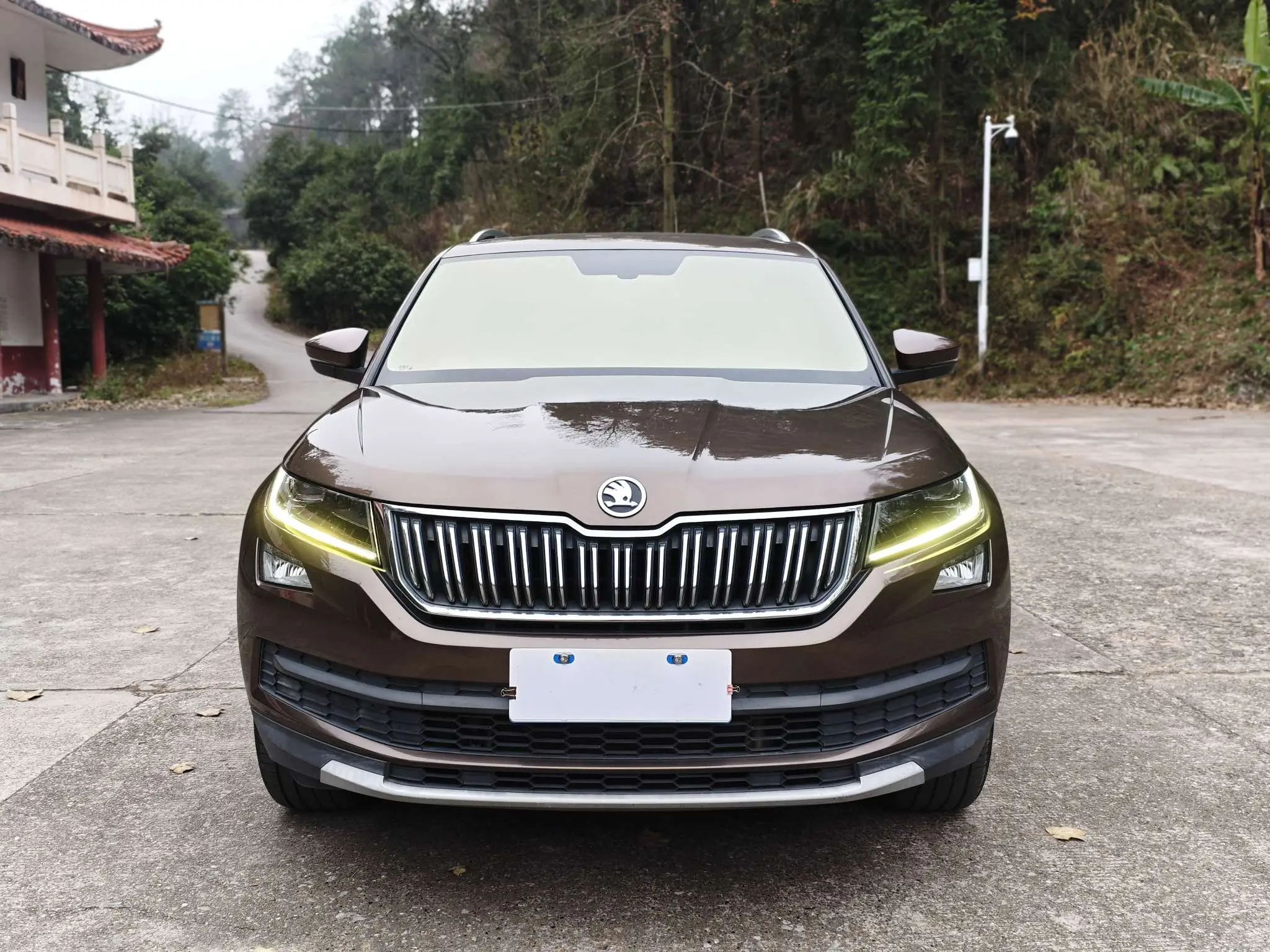 Skoda Kodiaq  из Китая