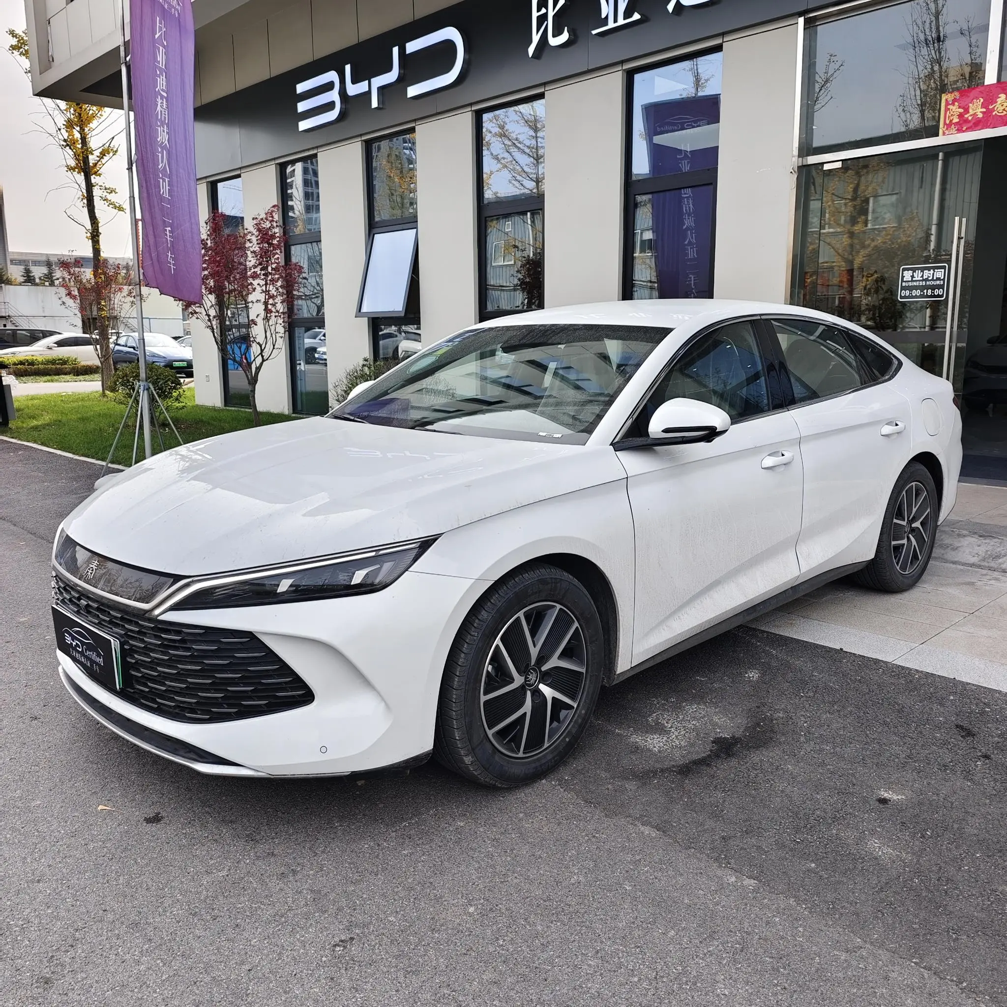 BYD Qin L DM  из Китая