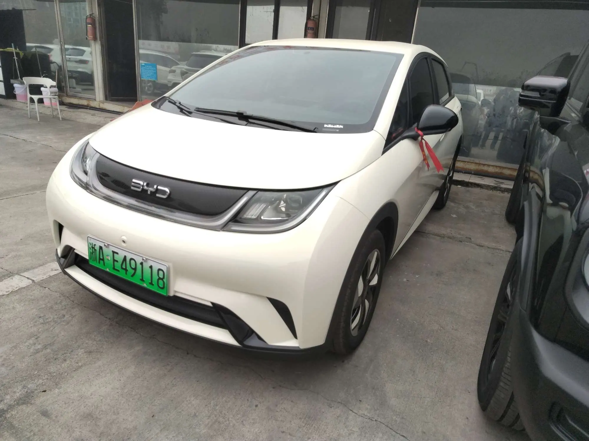 BYD Dolphin  из Китая