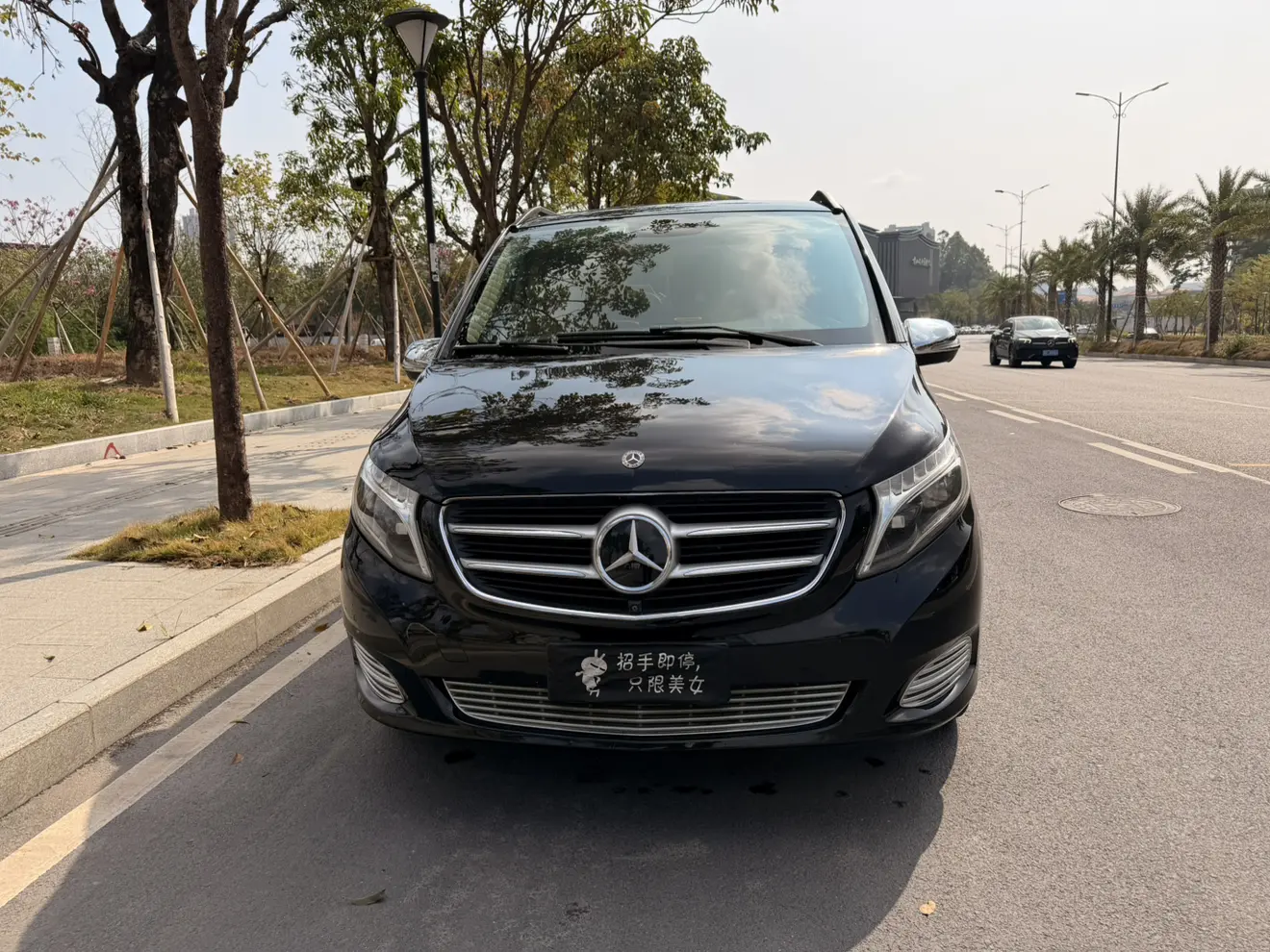 Mercedes-Benz Mercedes Benz V Class  из Китая