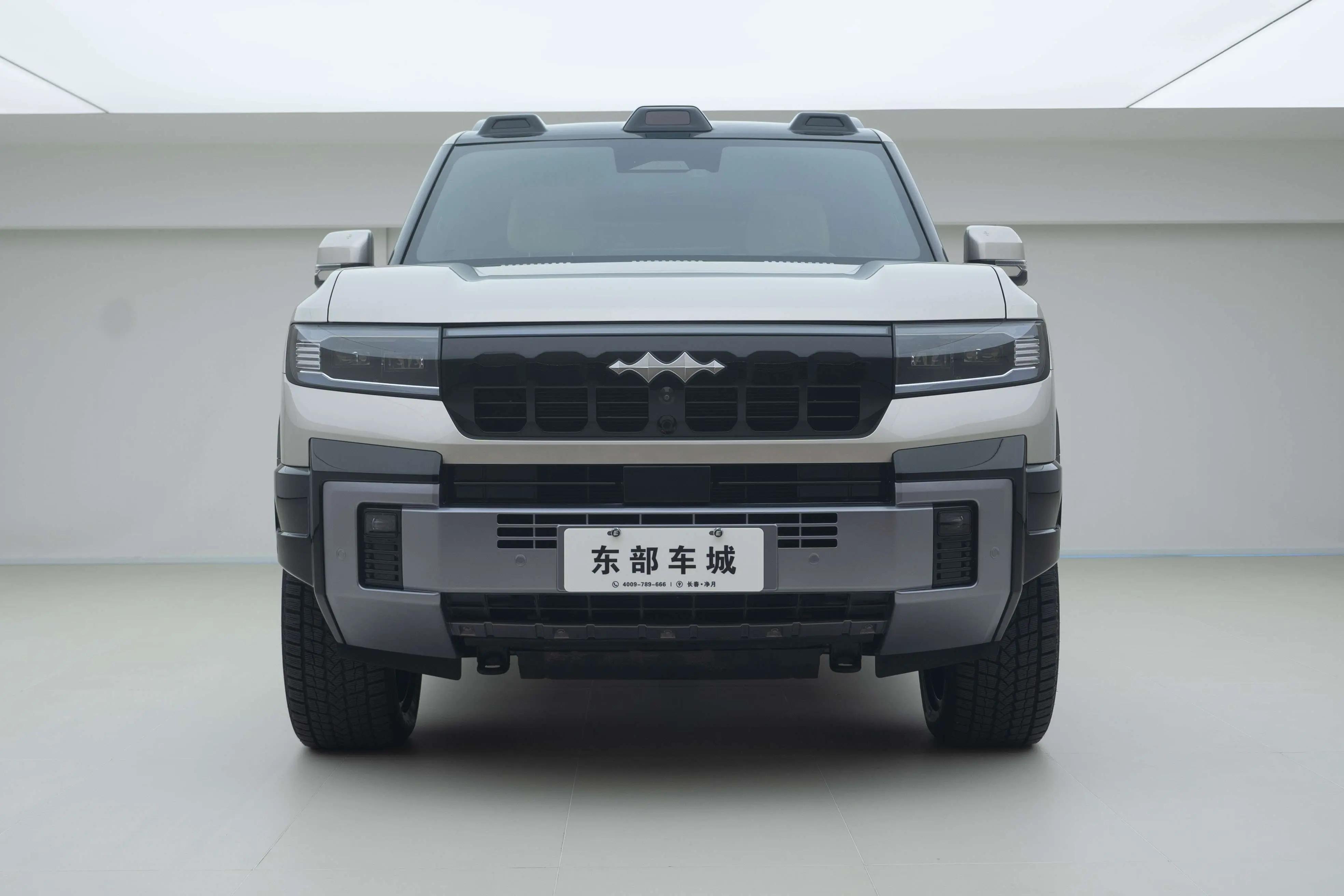 BYD Leopard Leopard 8  из Китая