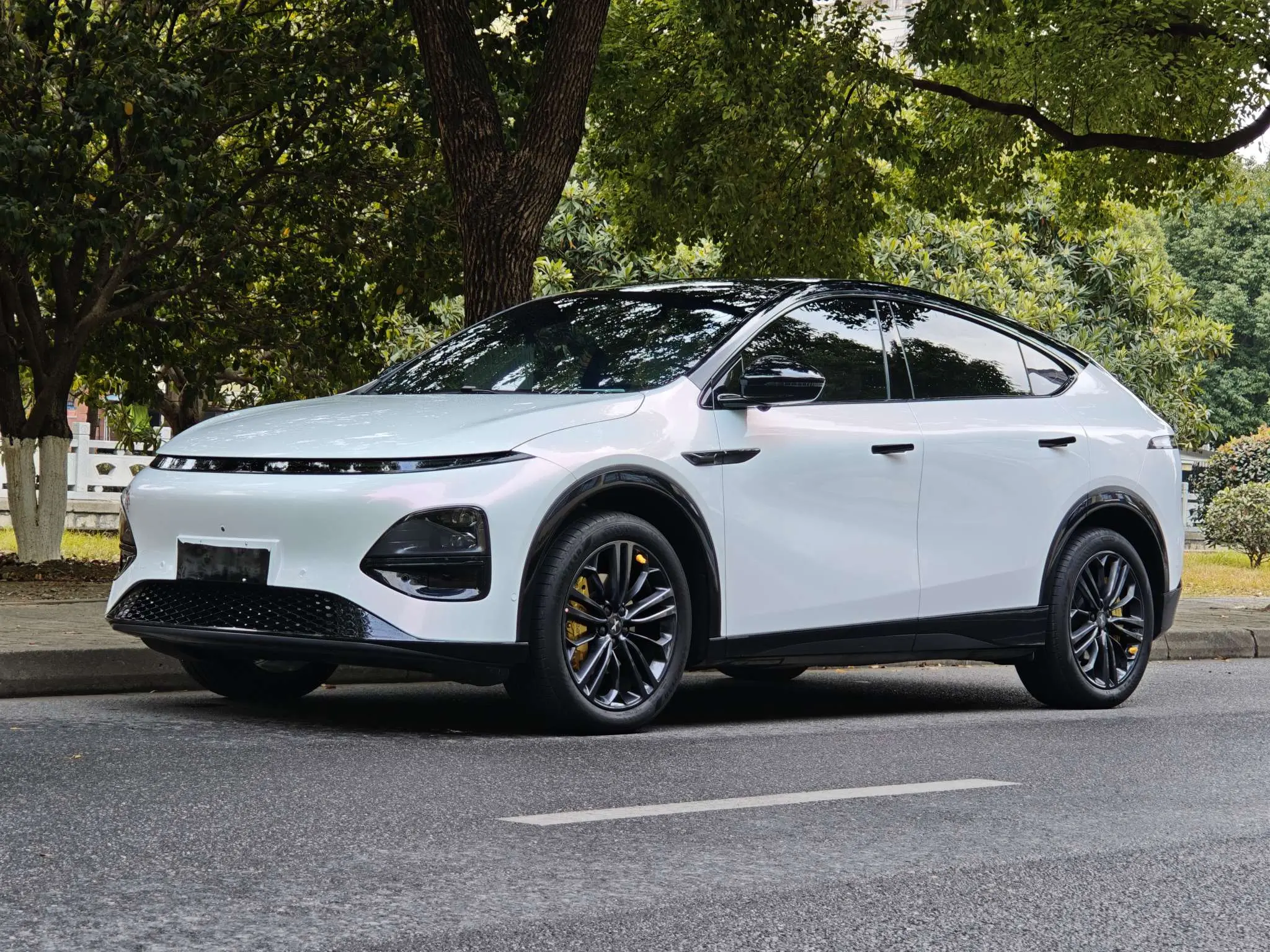 Xpeng G6  из Китая