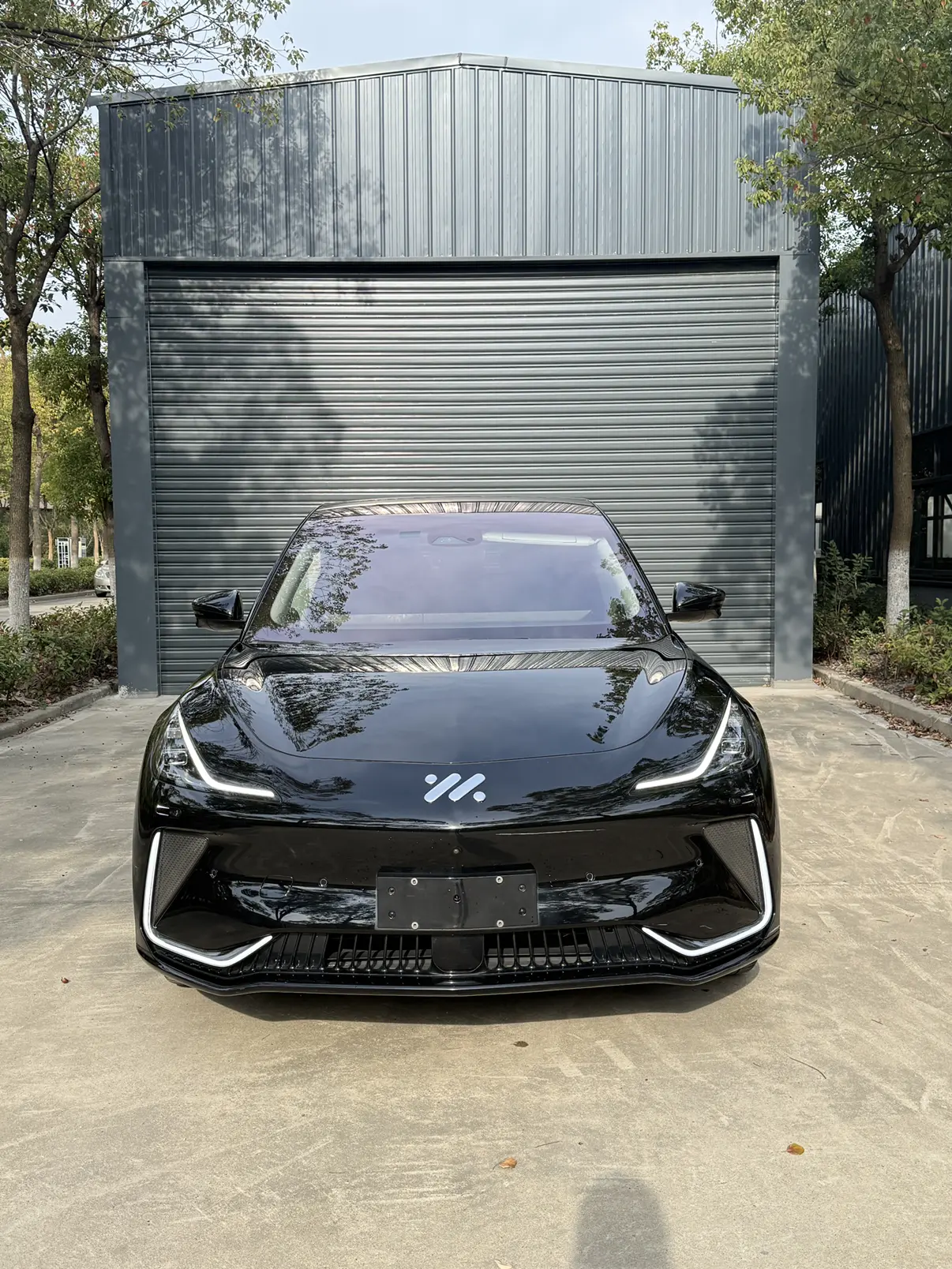 Zhiji LS7  из Китая