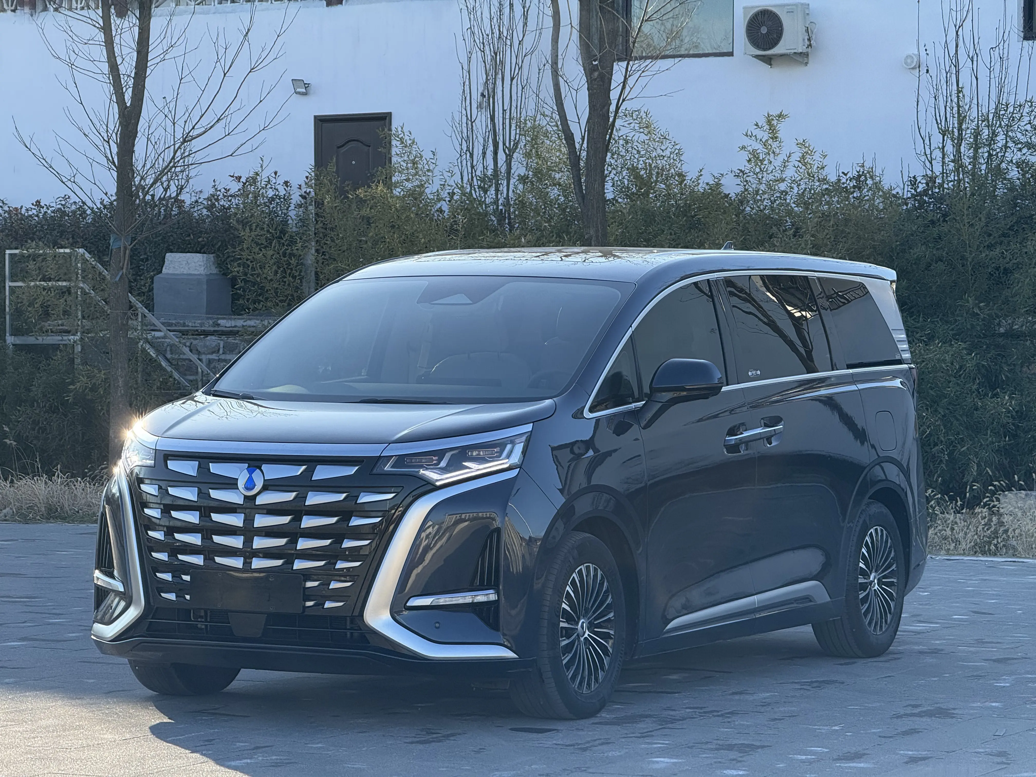 Denza D9 DM  из Китая