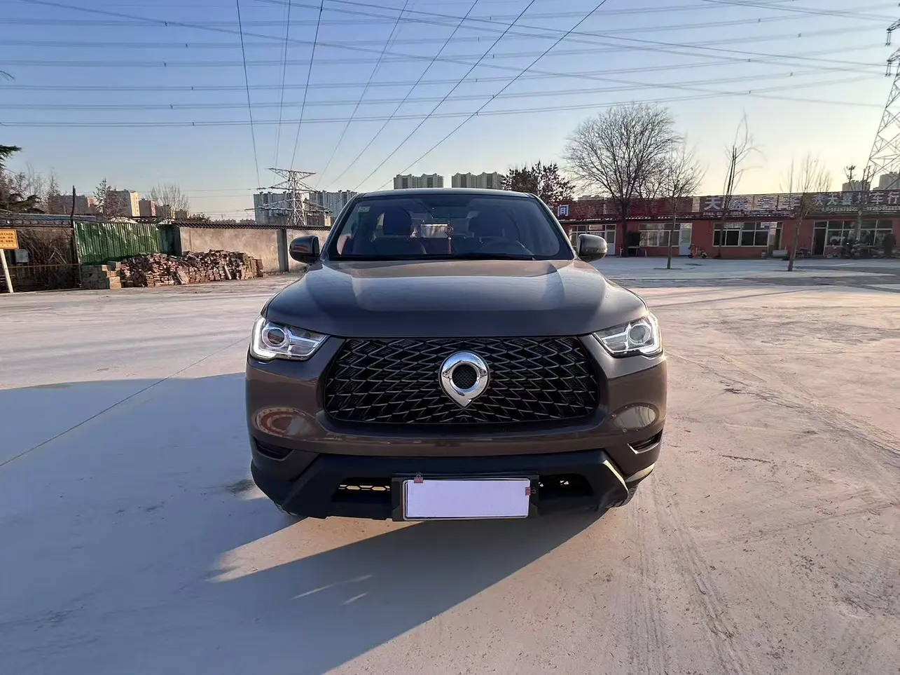 Great Wall Gun  из Китая