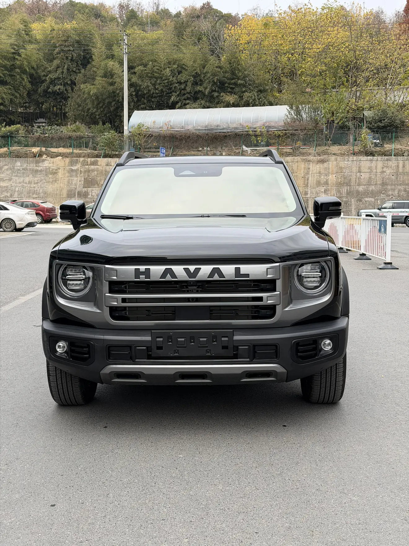 Haval Dargo  из Китая