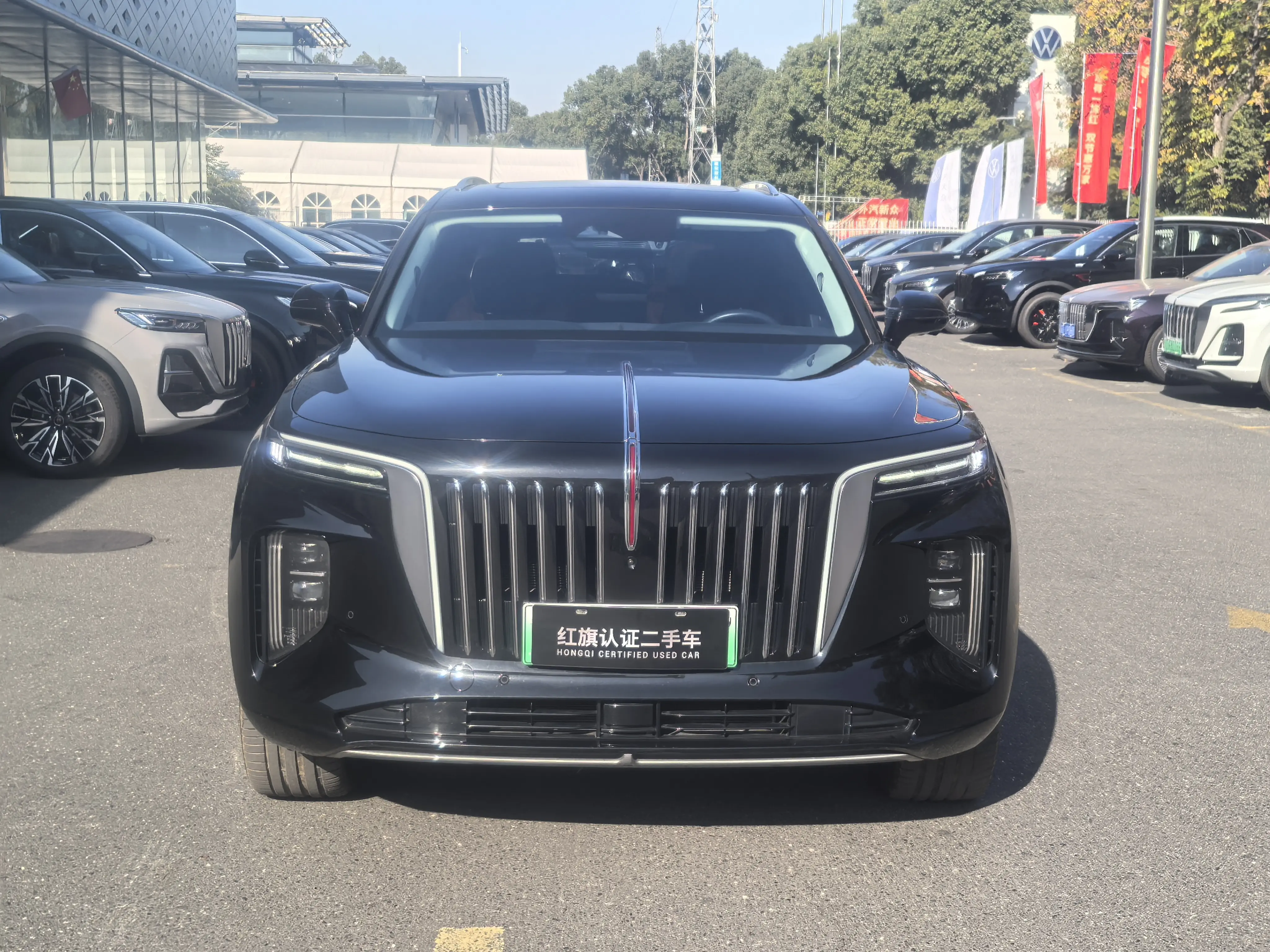 Hongqi E-HS9  из Китая