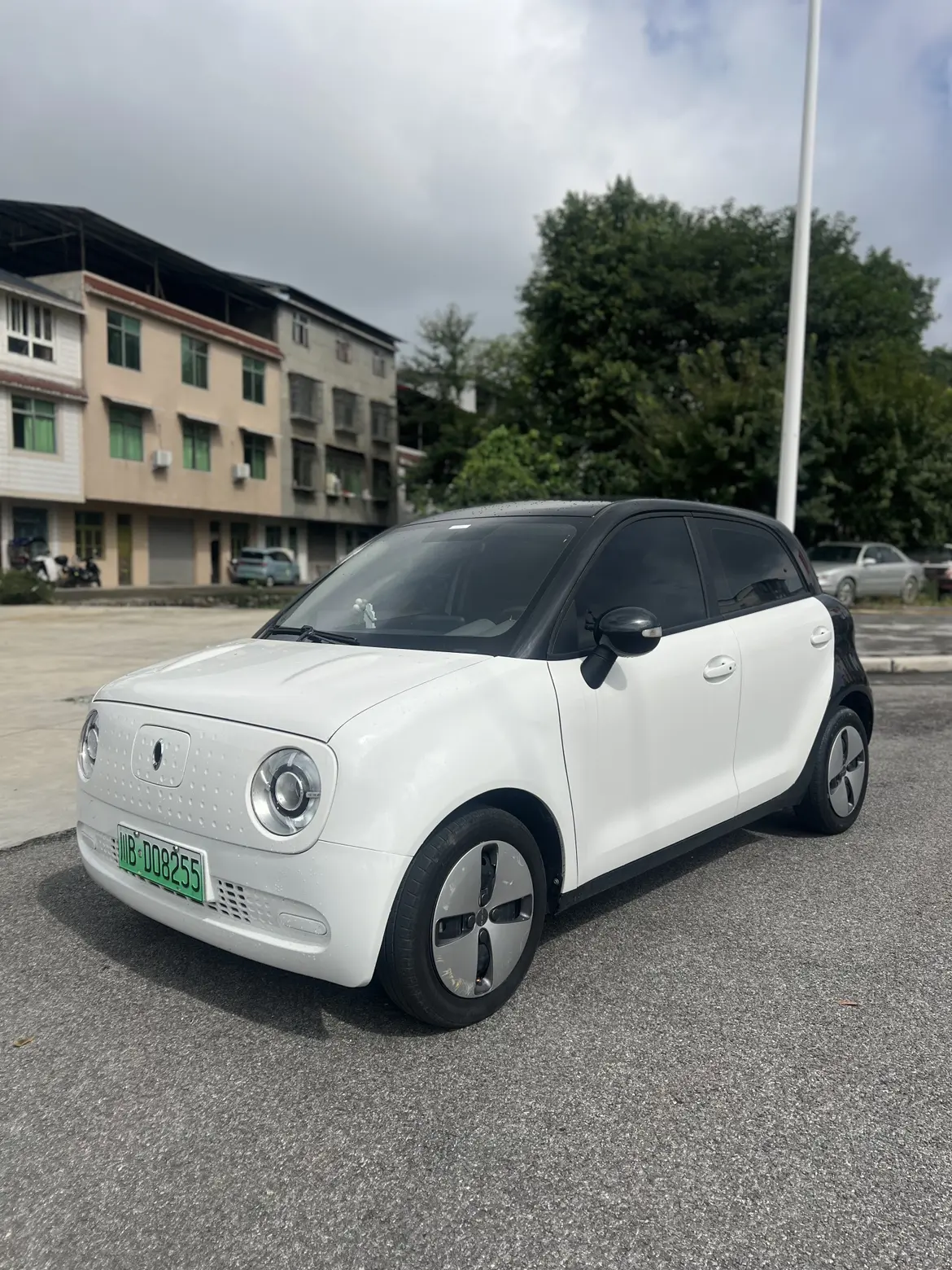 ORA Euler black cat  из Китая