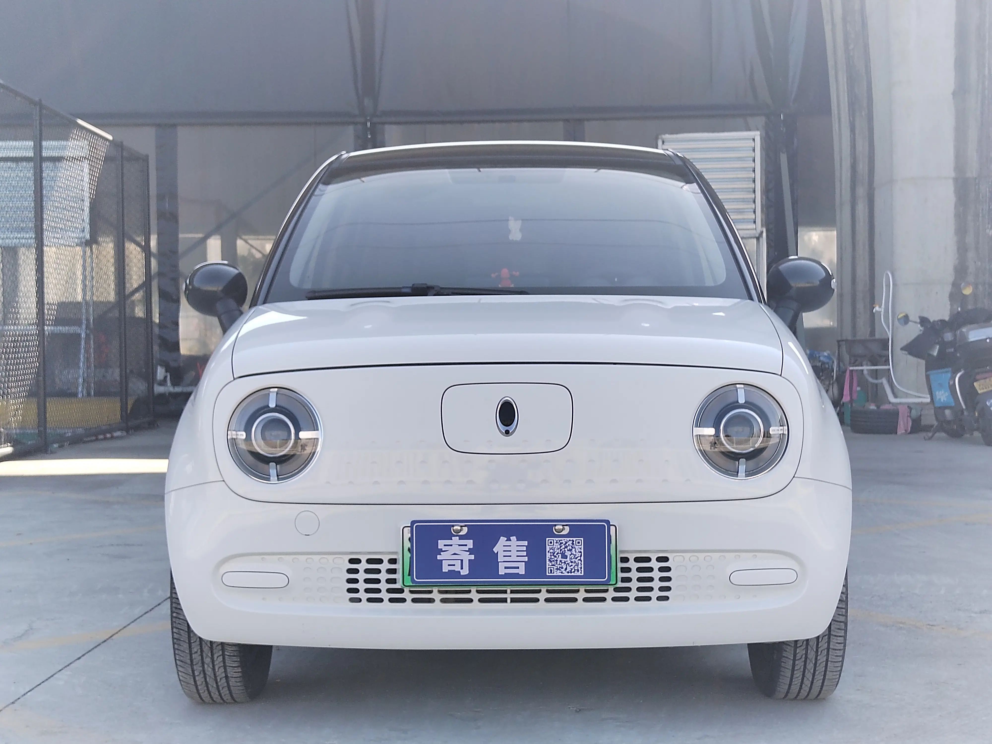 ORA Euler black cat  из Китая