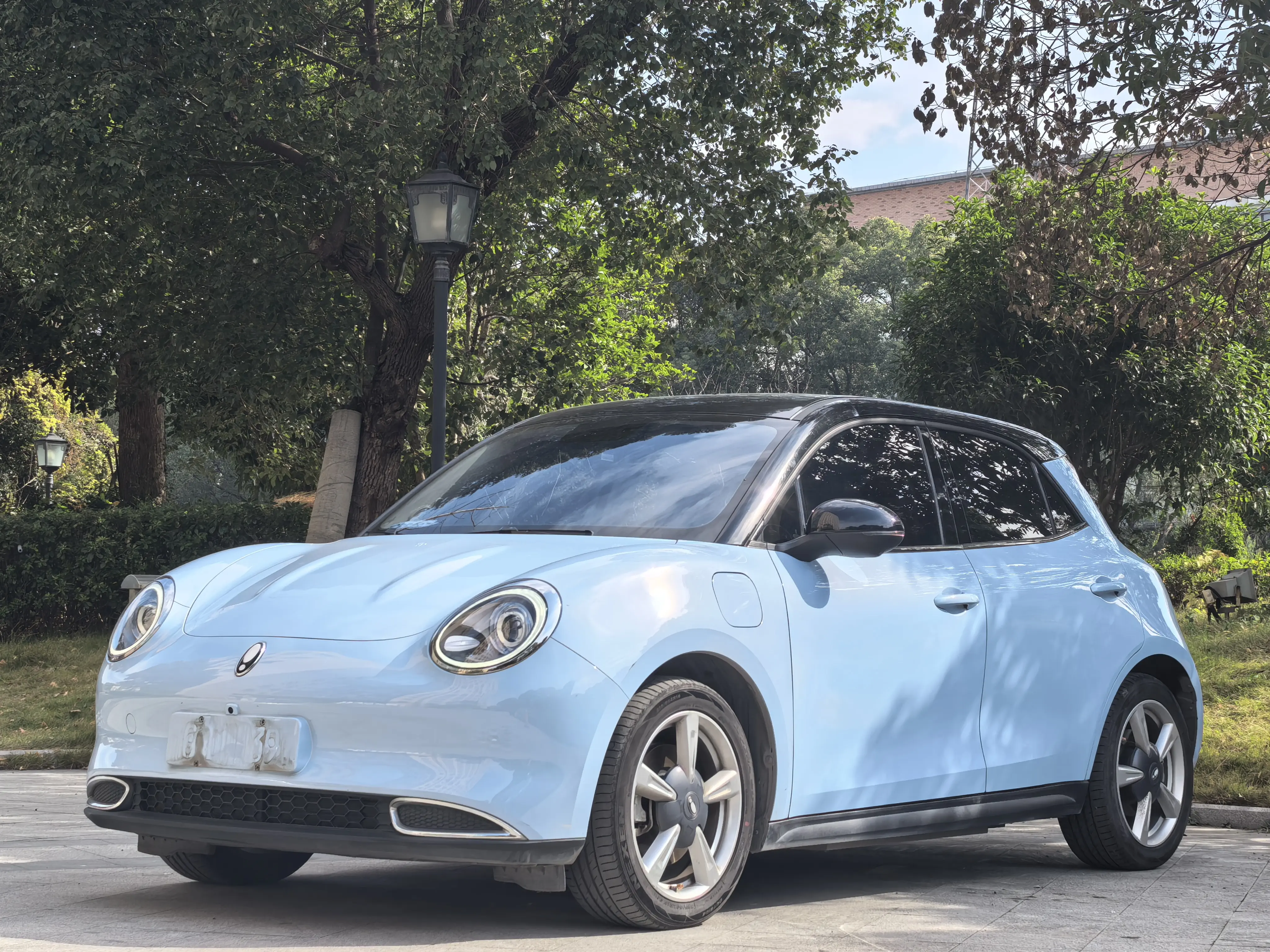 ORA Euler good cat  из Китая