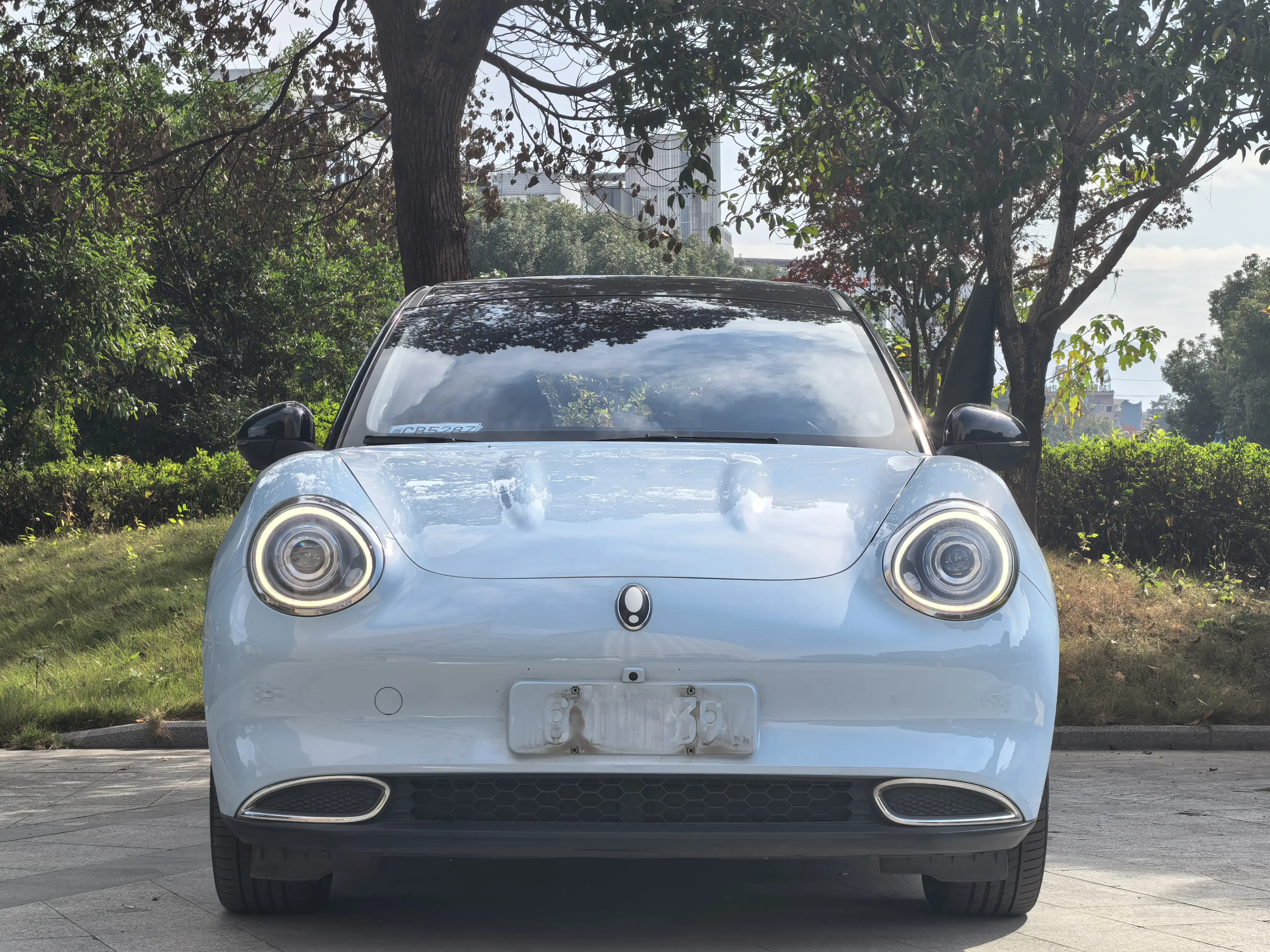 ORA Euler good cat  из Китая