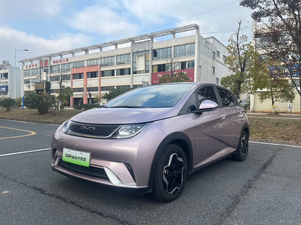 BYD Dolphin  из Китая