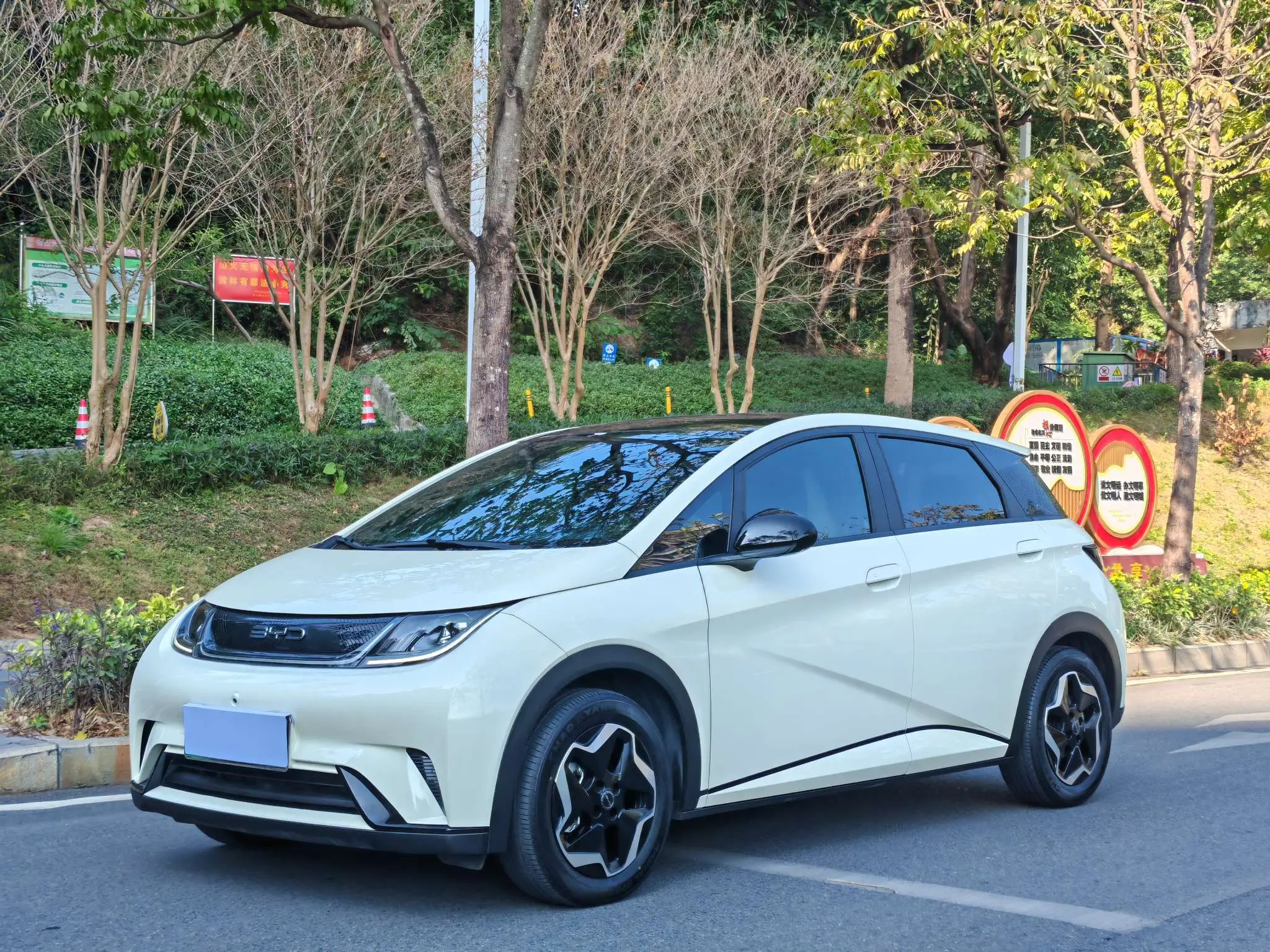 BYD Dolphin  из Китая