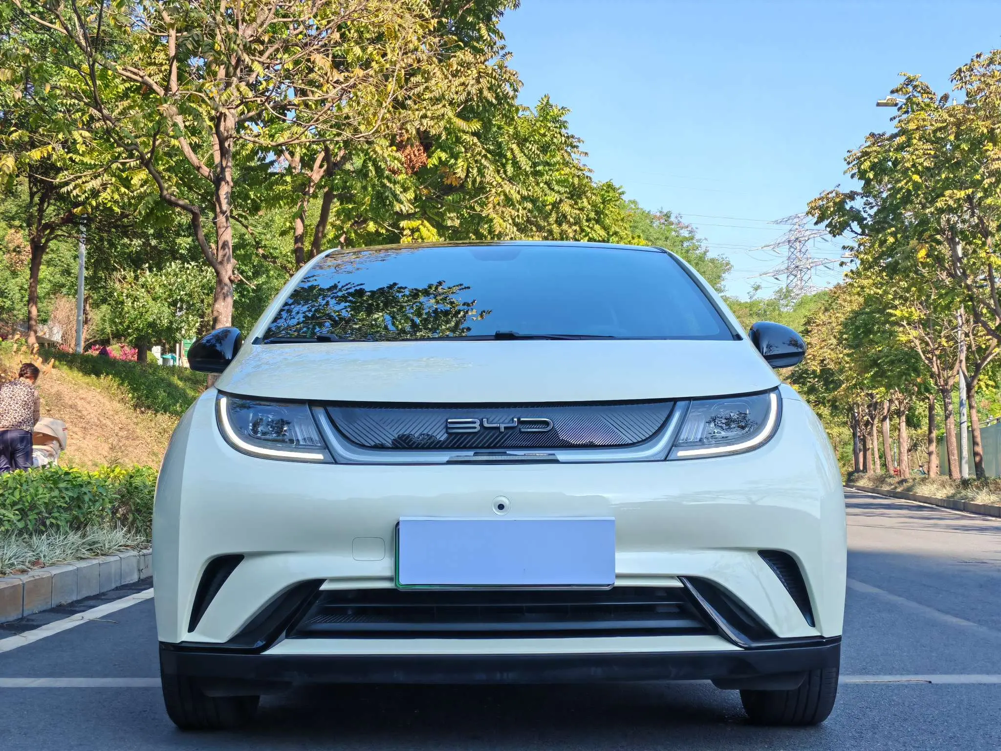 BYD Dolphin  из Китая