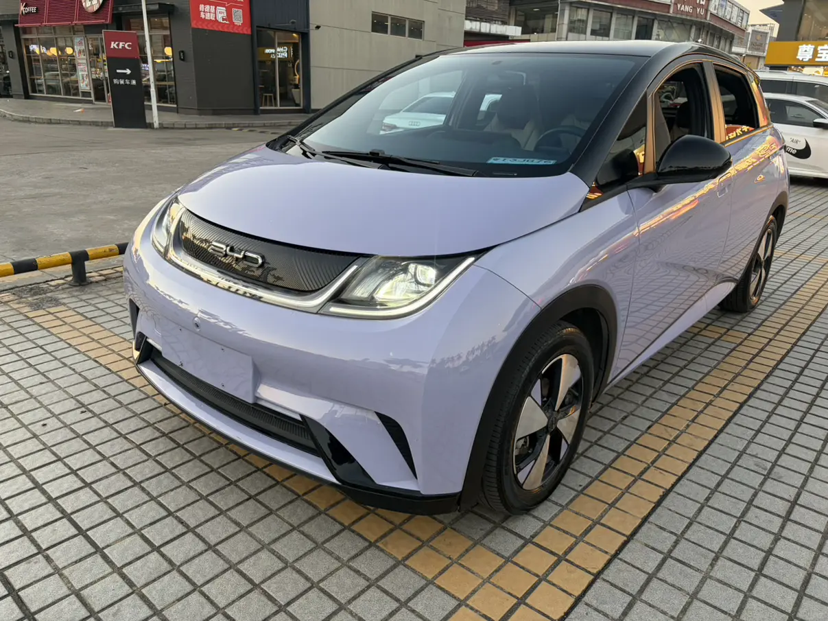 BYD Dolphin  из Китая