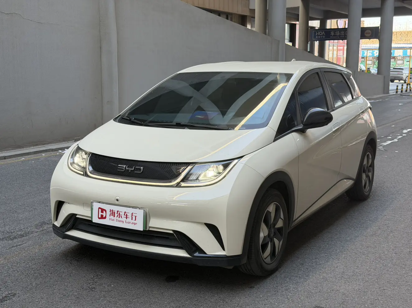 BYD Dolphin  из Китая
