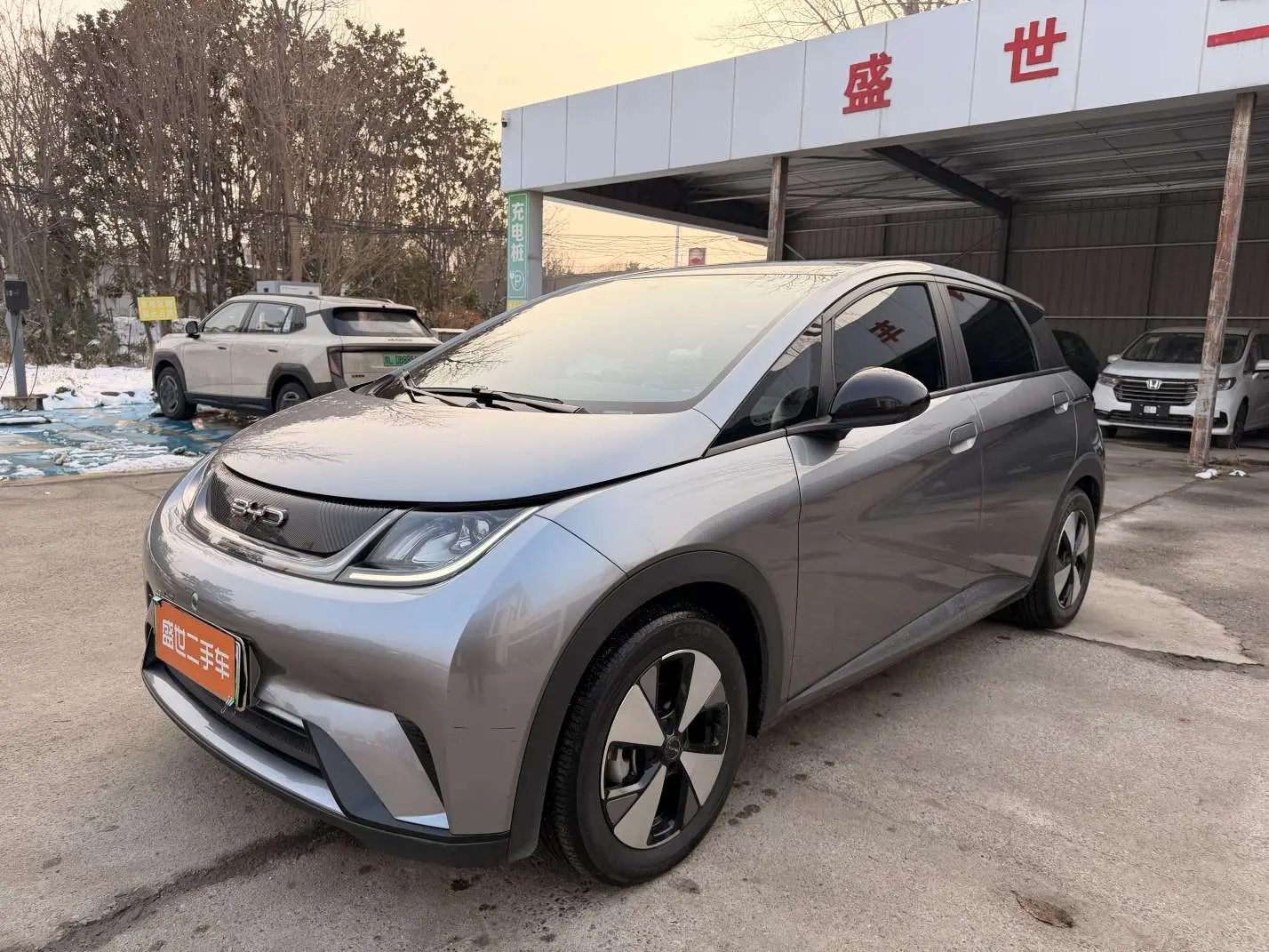 BYD Dolphin  из Китая