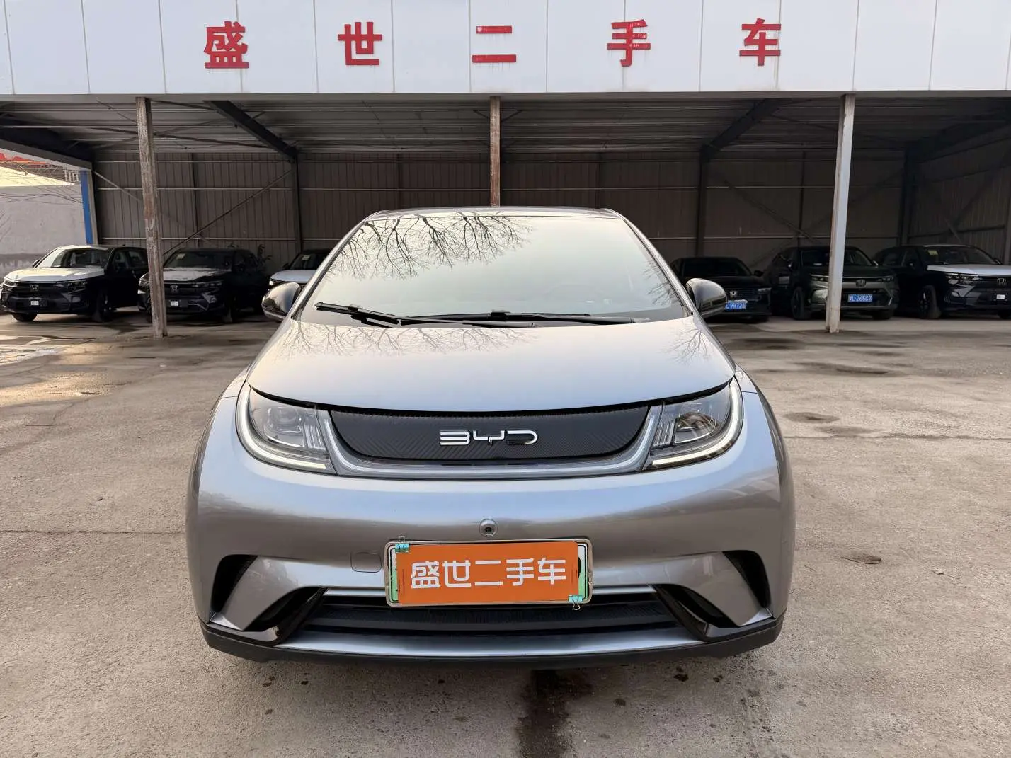 BYD Dolphin  из Китая
