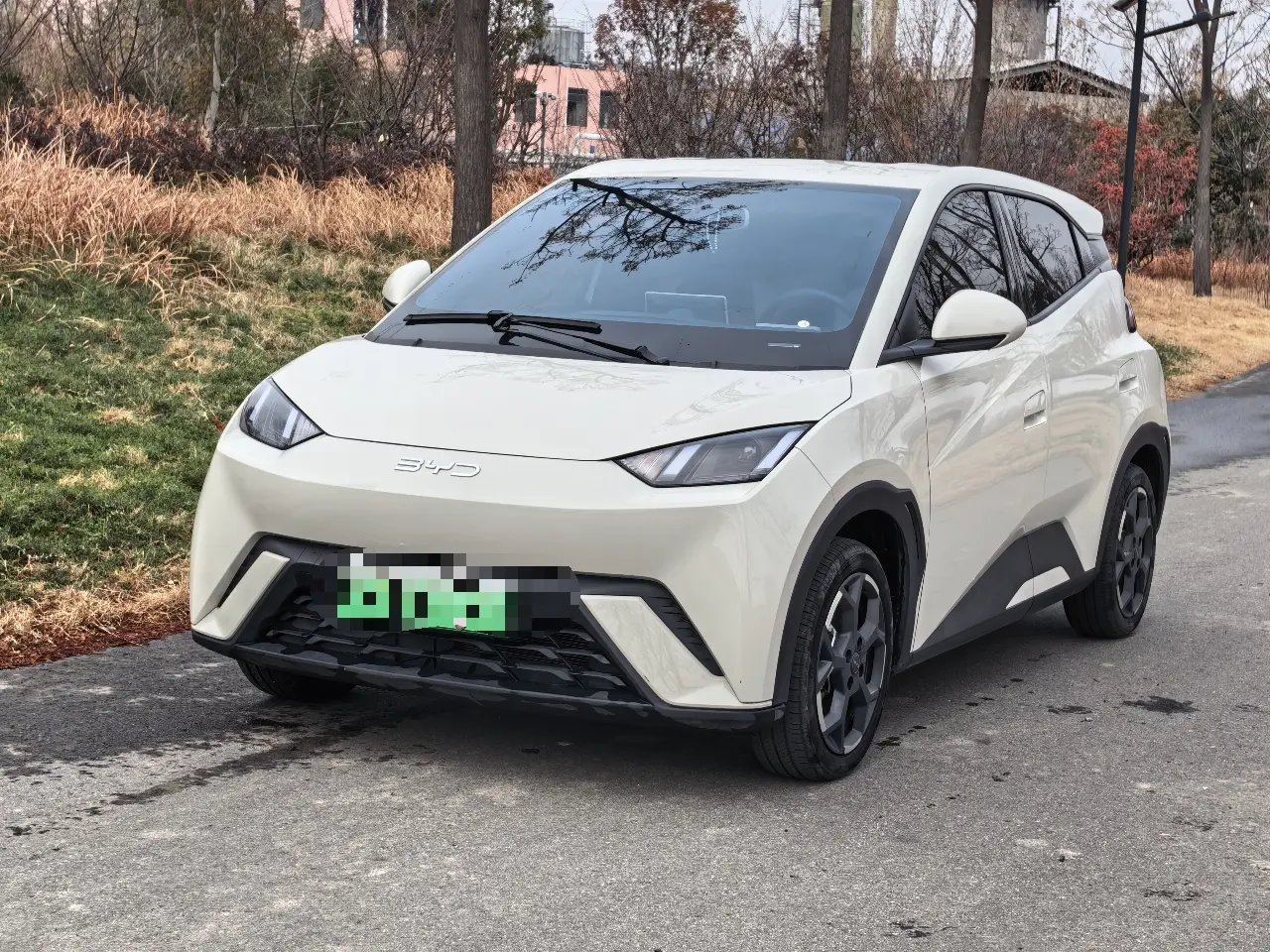 BYD Seagull  из Китая