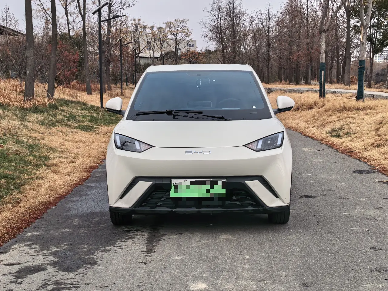 BYD Seagull  из Китая