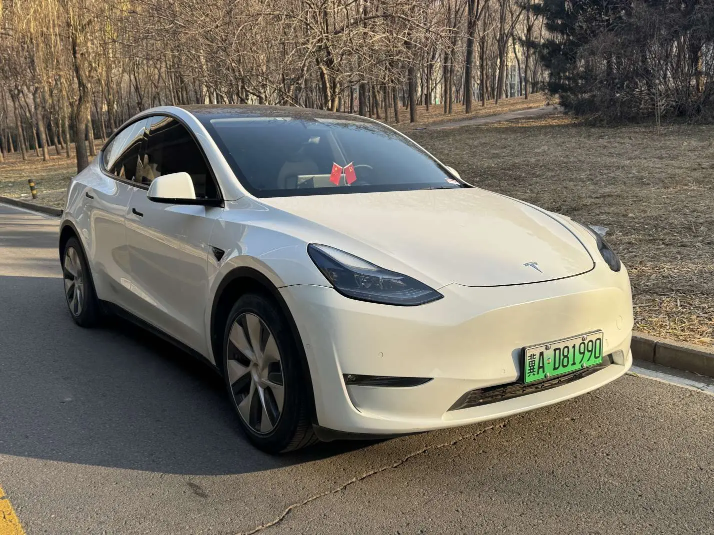 Tesla Model Y  из Китая