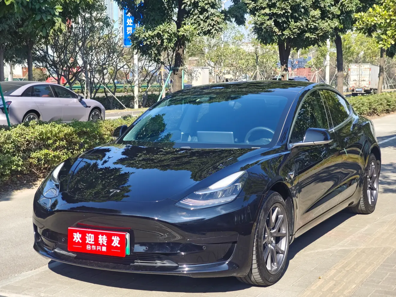 Tesla Model 3  из Китая