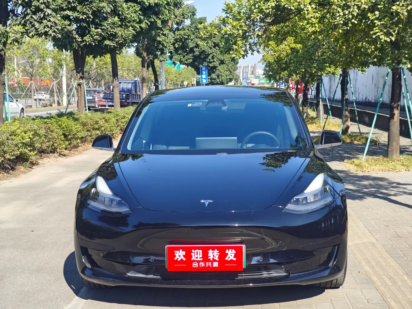 Tesla Model 3  из Китая