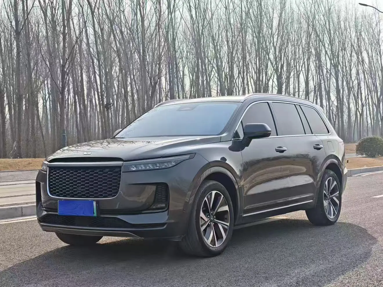 Li ONE (Ideal ONE)  из Китая