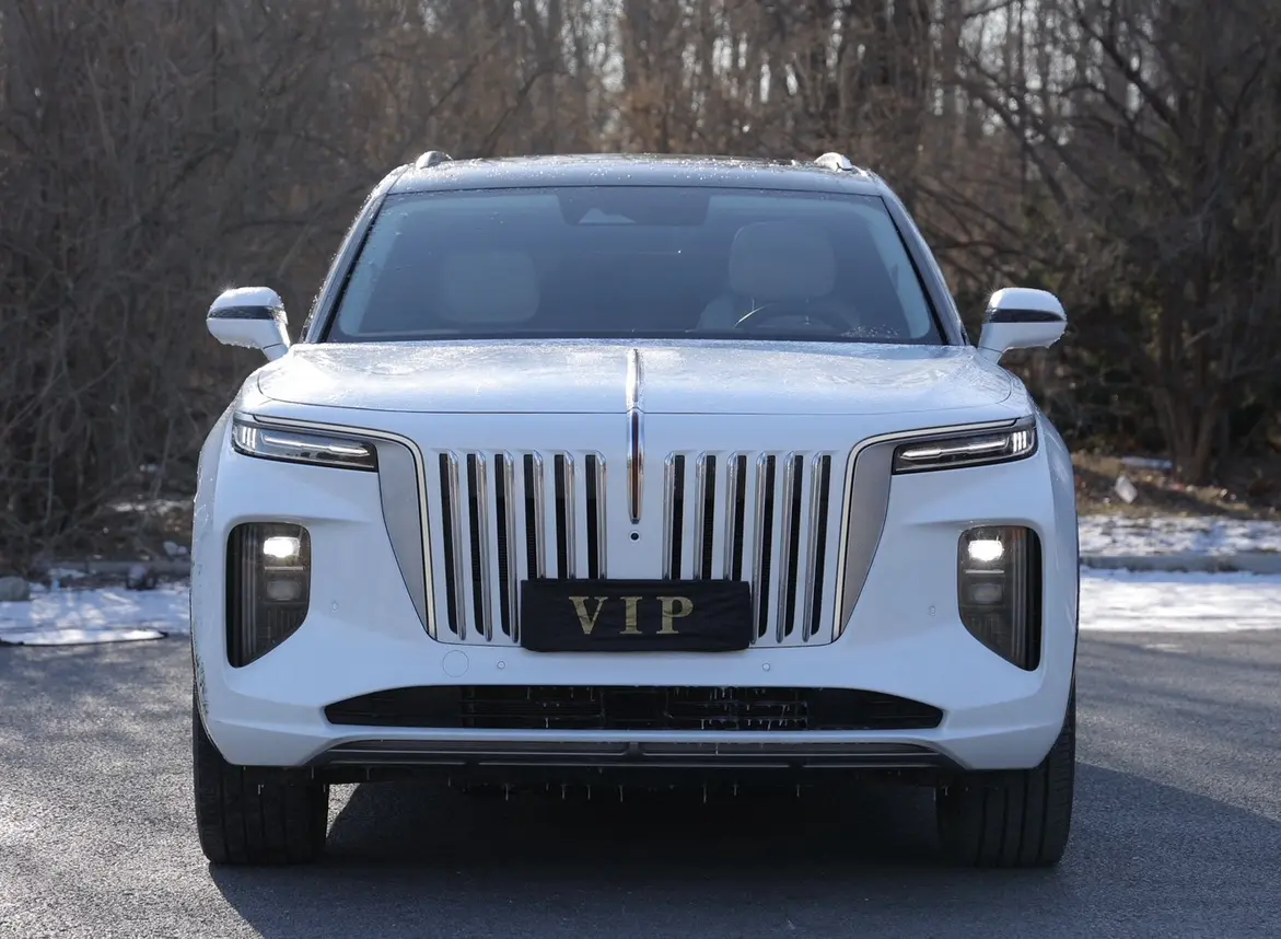 Hongqi E-HS9  из Китая