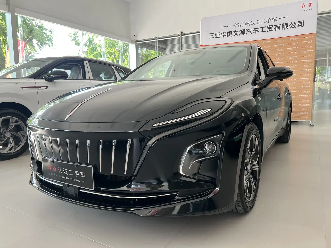 Hongqi E-QM5  из Китая