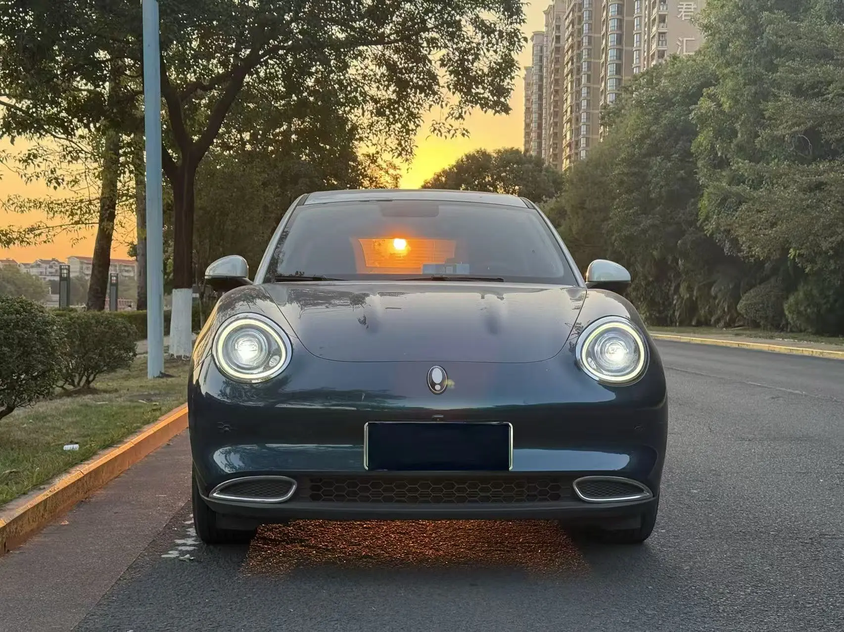 ORA Euler good cat  из Китая