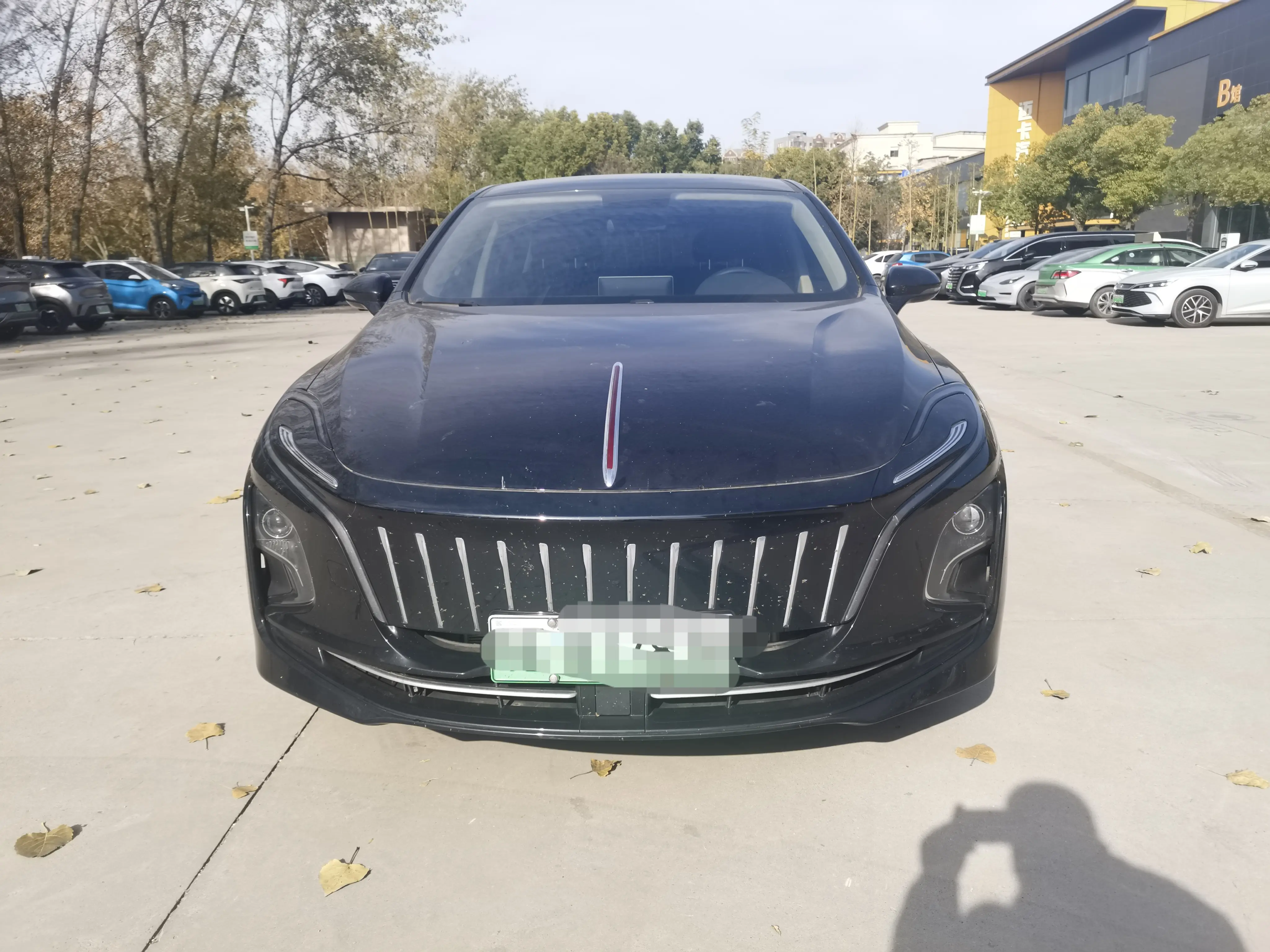 Hongqi E-QM5  из Китая