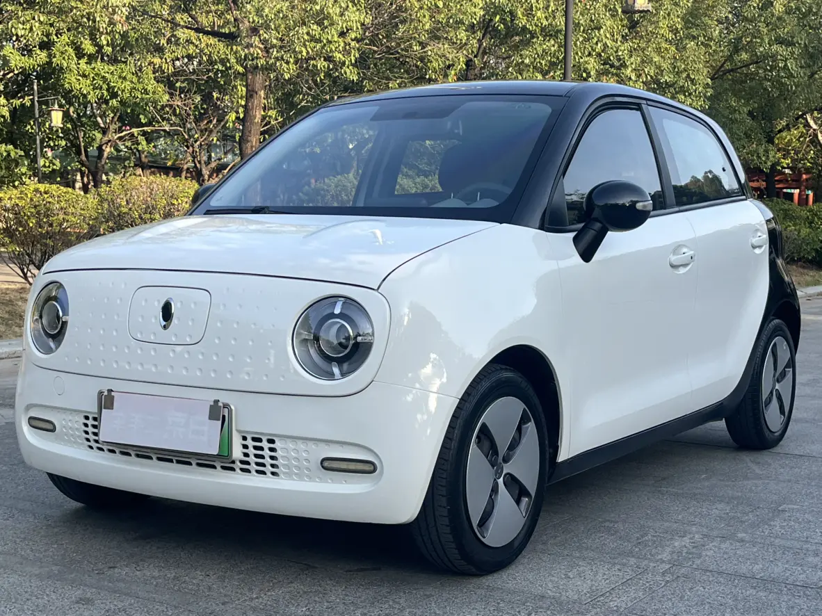 ORA Euler black cat  из Китая