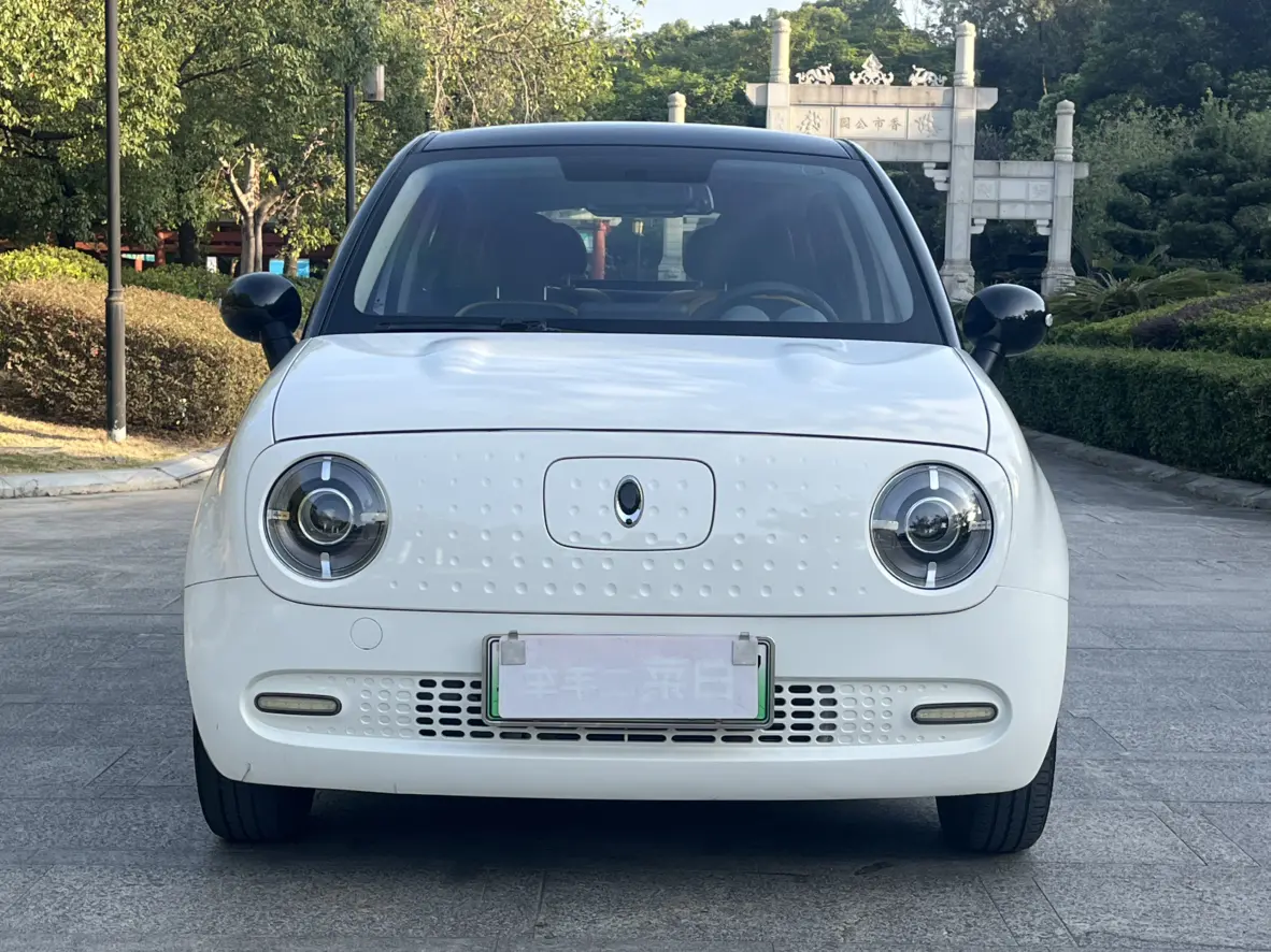 ORA Euler black cat  из Китая