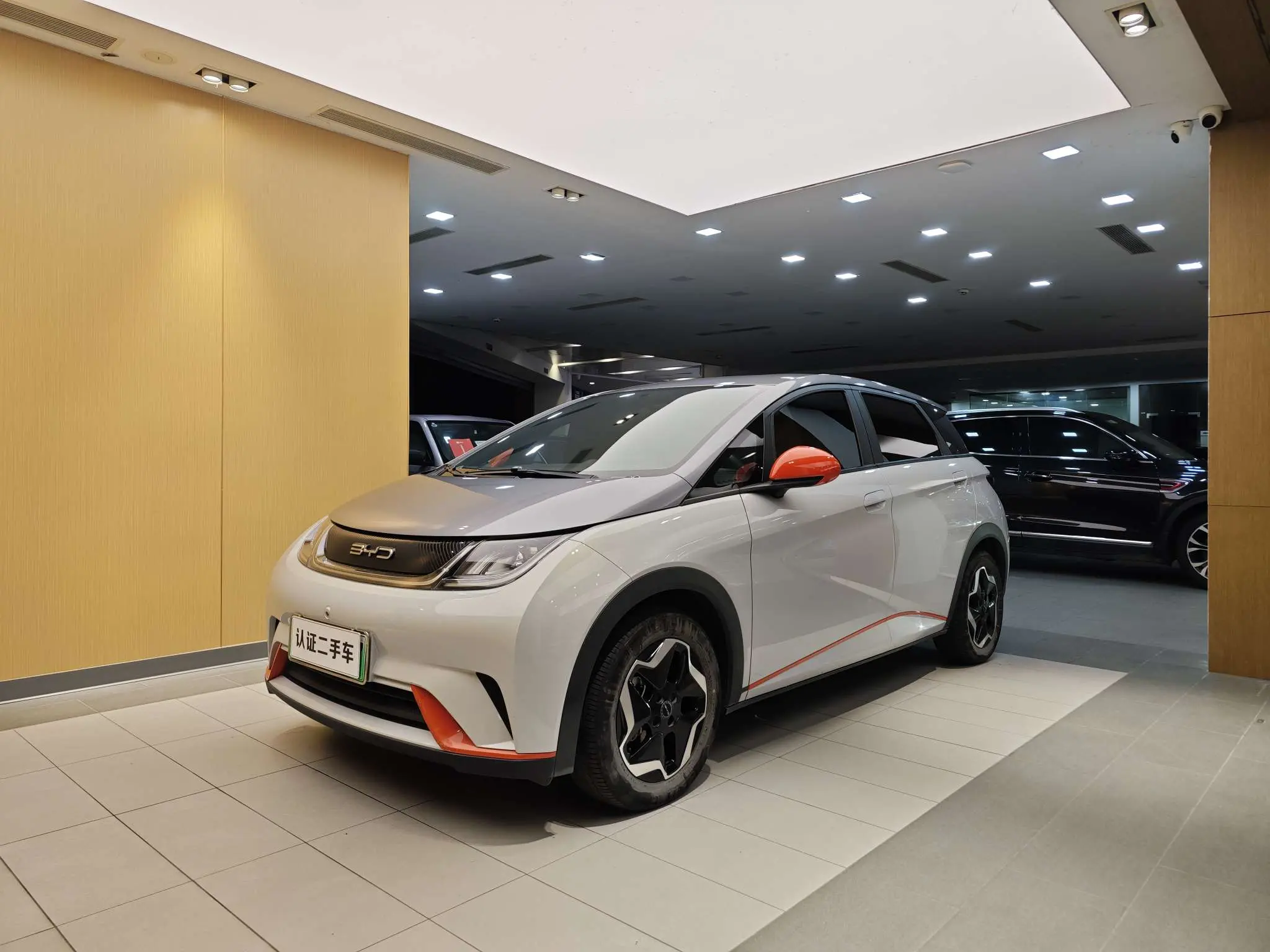 BYD Dolphin  из Китая